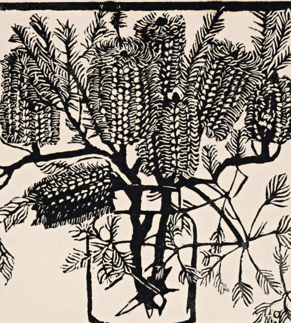 Original Artist's Prints