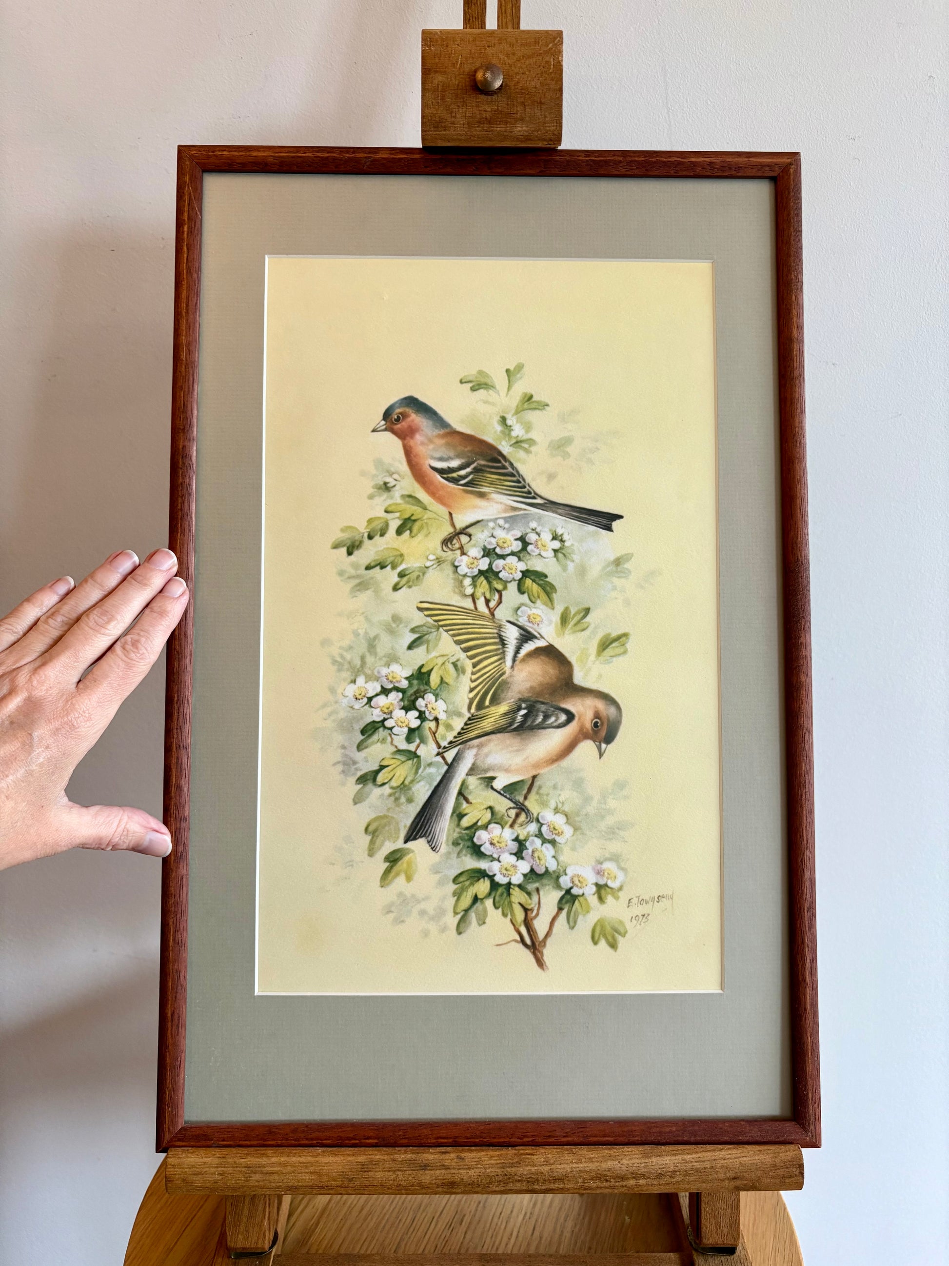 1975 Vintage limited edition print, Royal Worcester birds, framed art