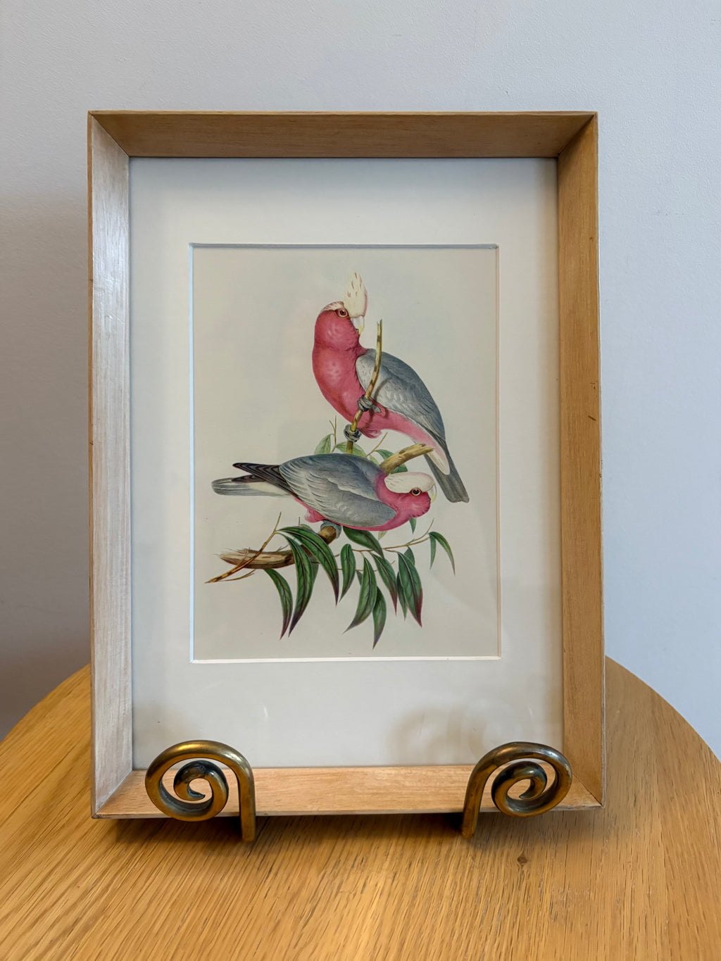 Miniature Gould "Birds of Australia" 1948 print of Galahs, vintage framed art