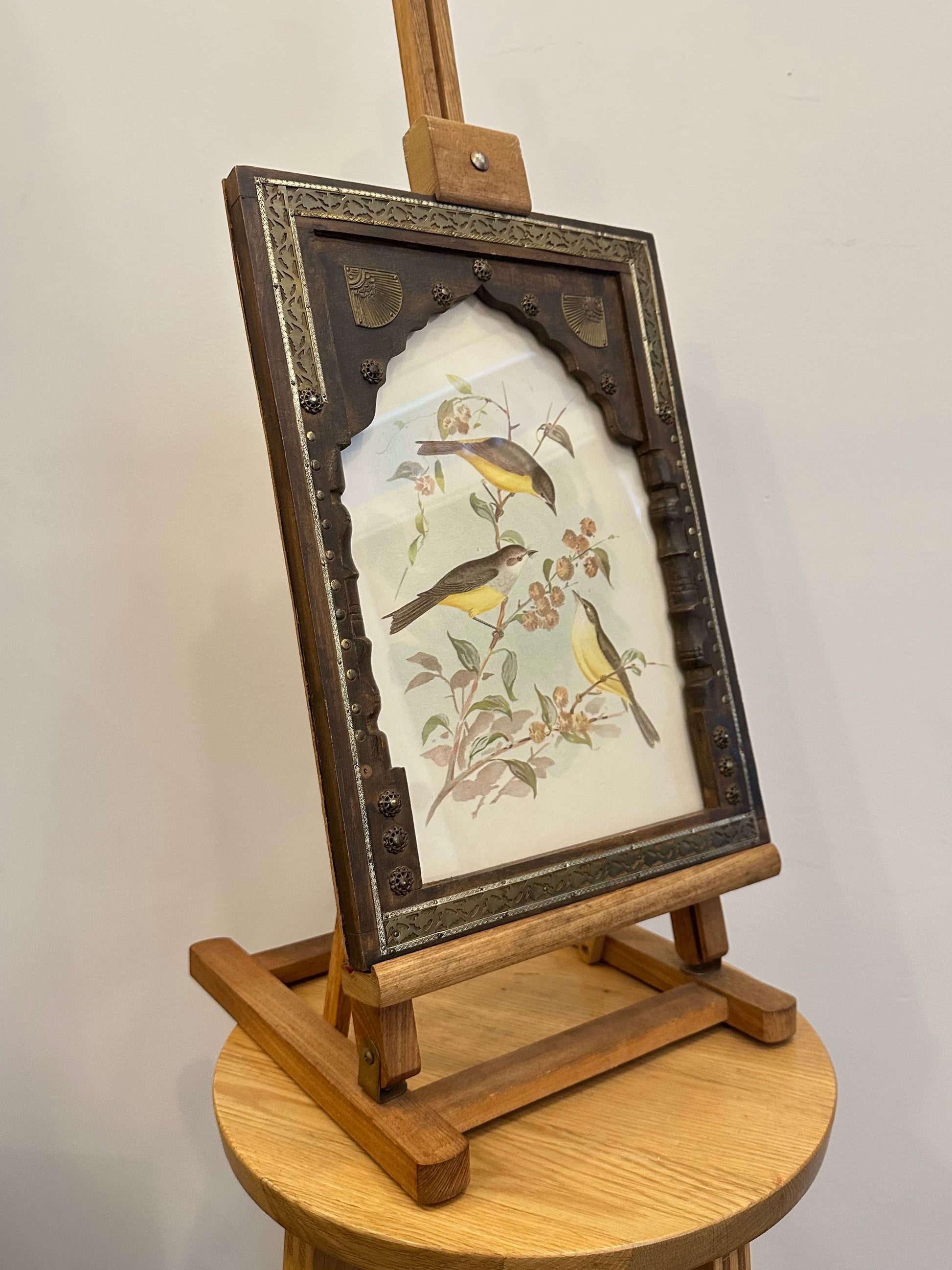 1891 Antique lithographic print, Gracius Broinowski,, Australian birds, framed art