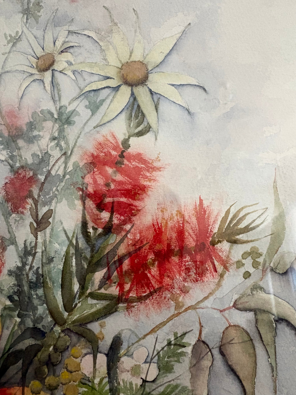 Original watercolour painting, native Australian flowers, Huon Pine frame, vintage
