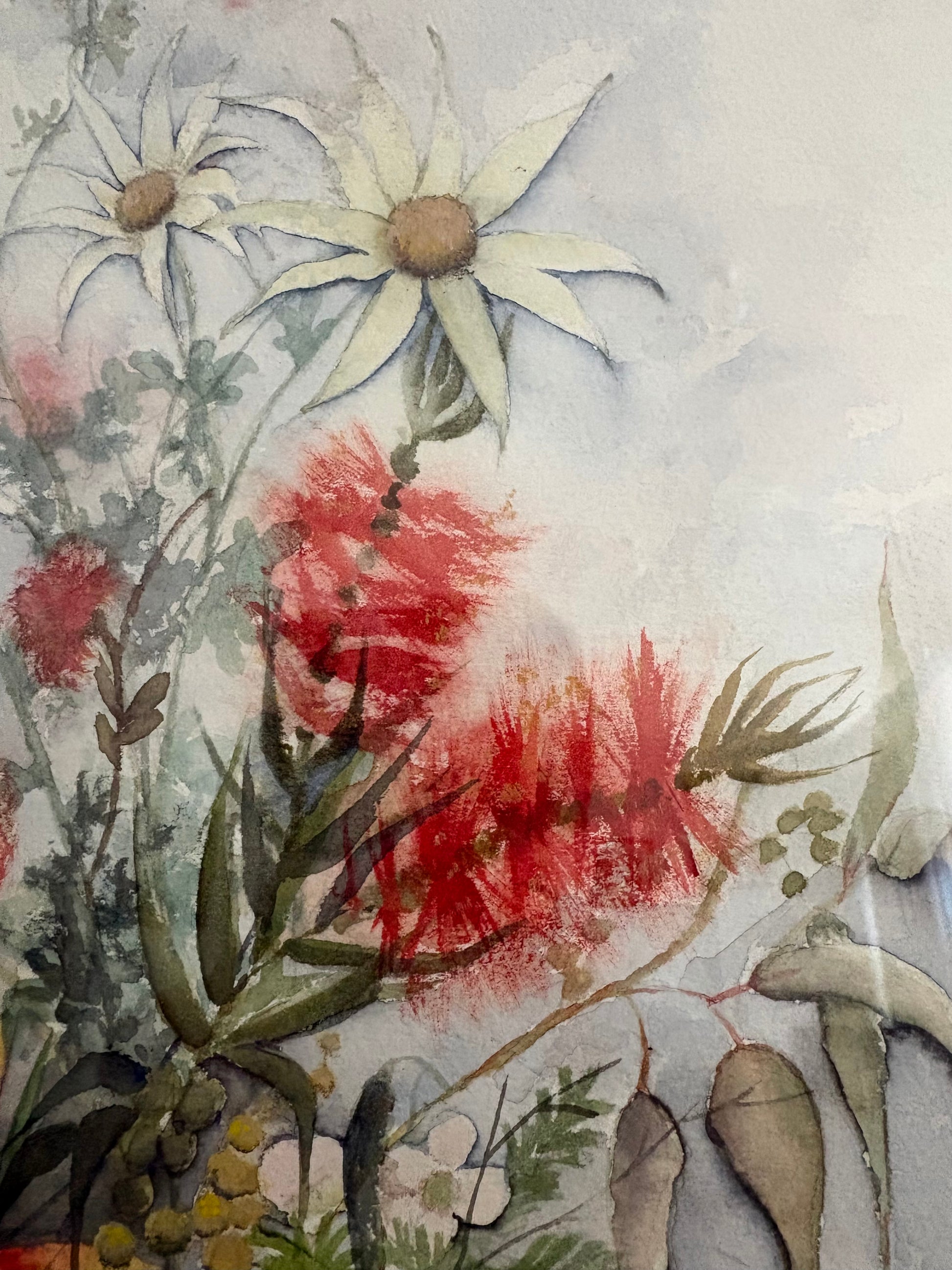 Original watercolour painting, native Australian flowers, Huon Pine frame, vintage