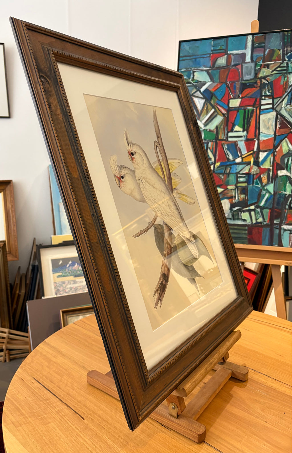 1989 Authentic limited edition 64/500 Gould print, Cockatoo, vintage art