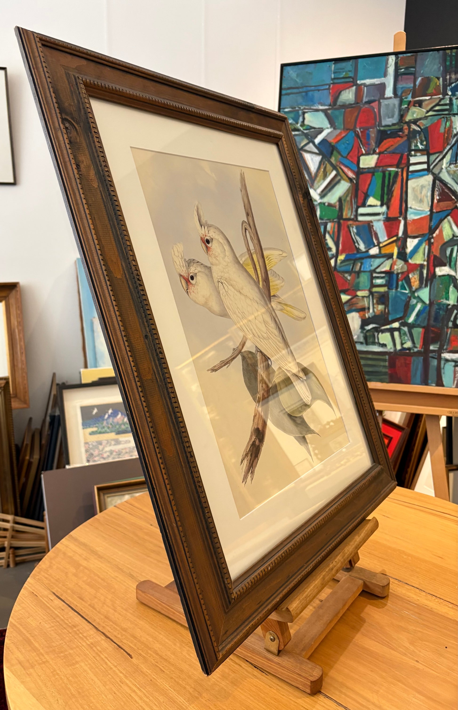 1989 Authentic limited edition 64/500 Gould print, Cockatoo, vintage art