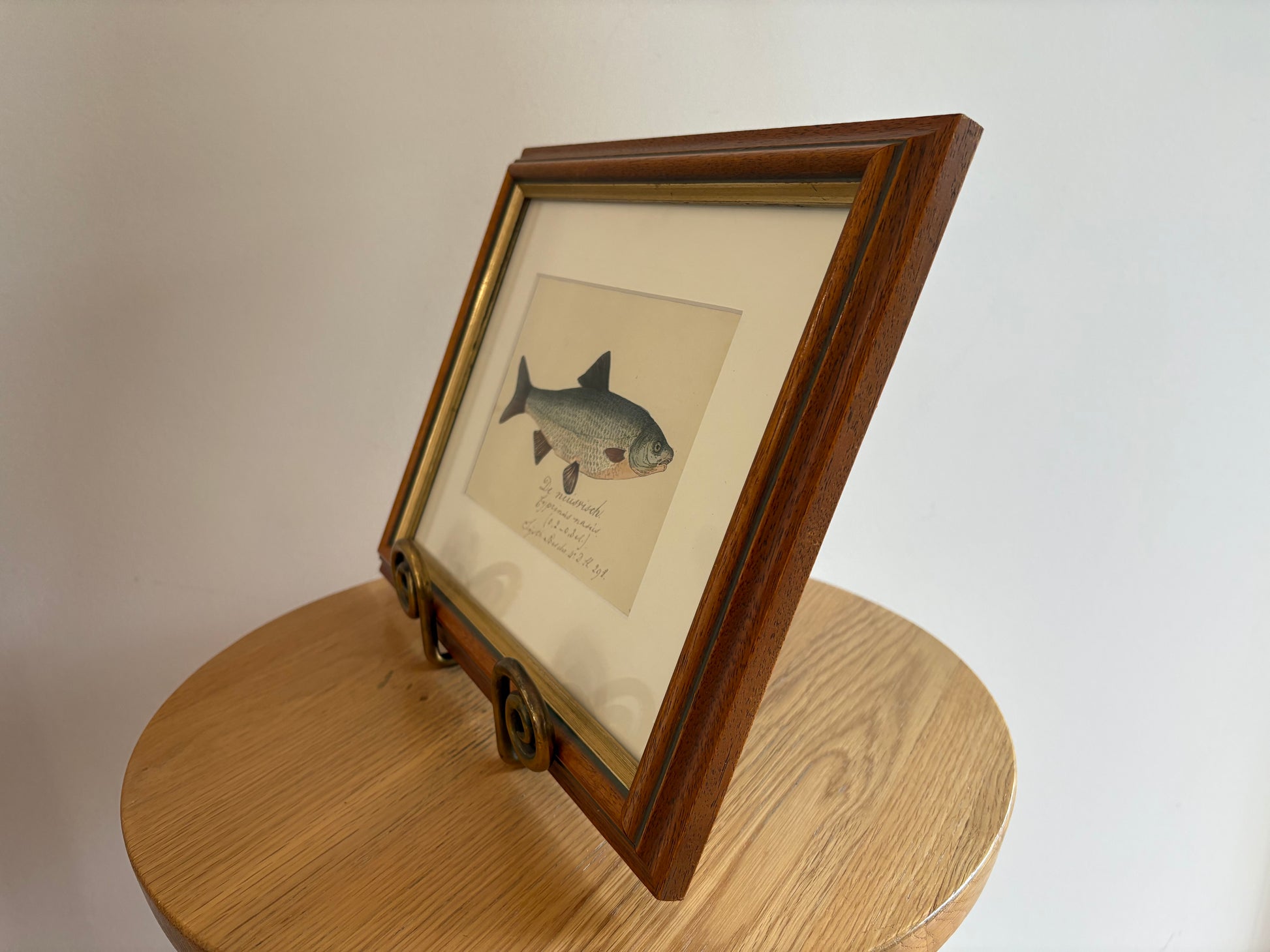 1830s Genuine antique fish engraving, hand coloured, framed original vintage wall art