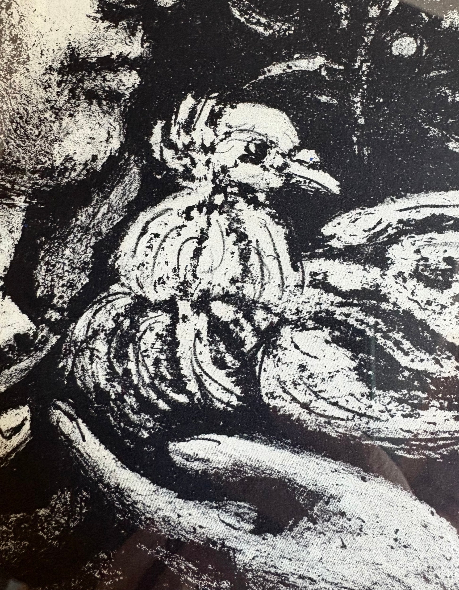 1950s Picasso Lithographic poster, mid century, framed vintage art