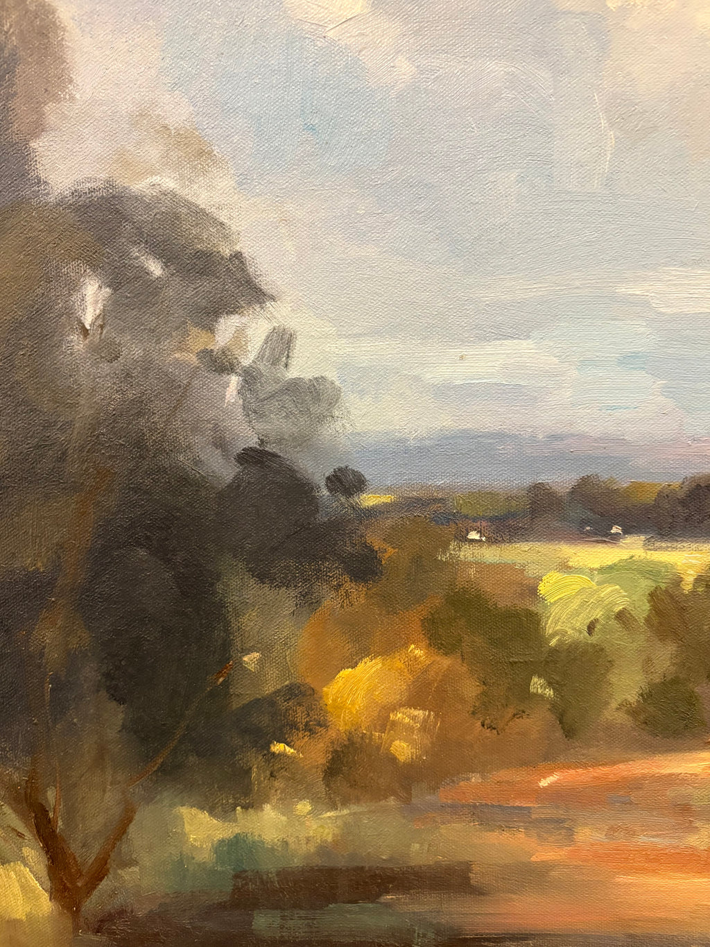 Original Judy Brownlie oil painting, landscape, NSW, framed vintage art
