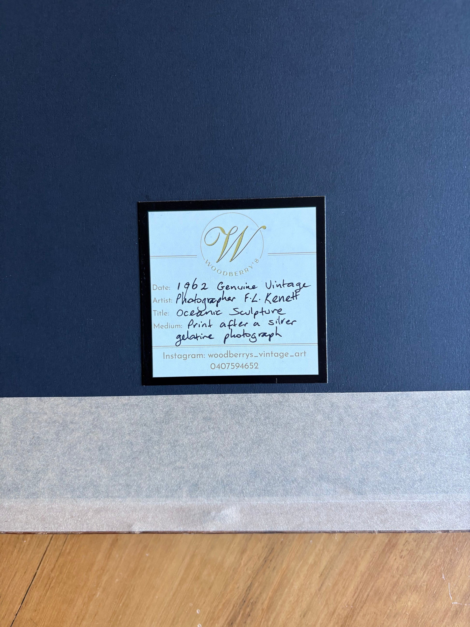 1962 vintage print, black and white photograph, mid century, bird, framed art