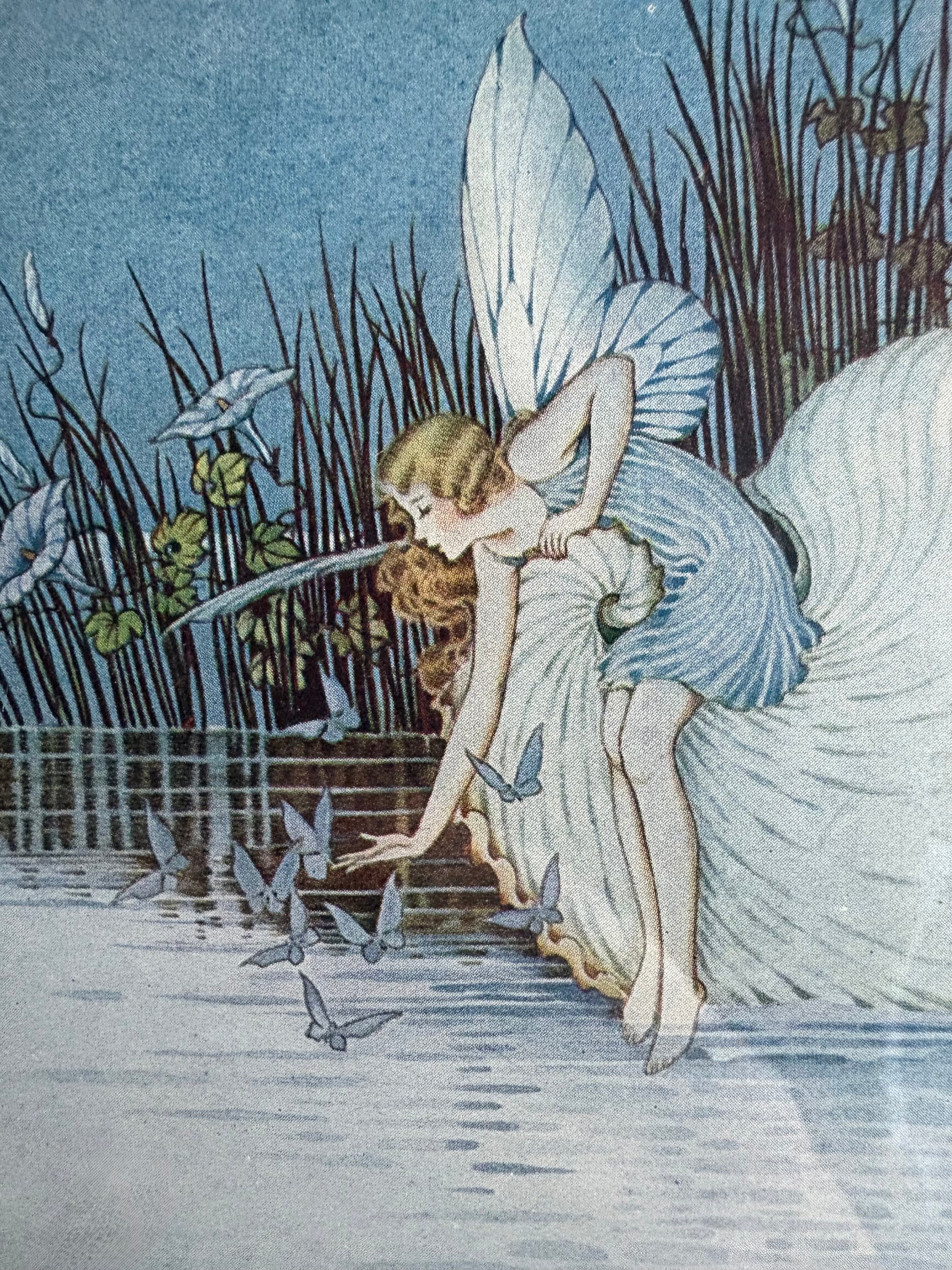 1931 Authentic antique Ida Rentoul Outhwaite print "Fairyland", 1st Edition UK, framed vintage art