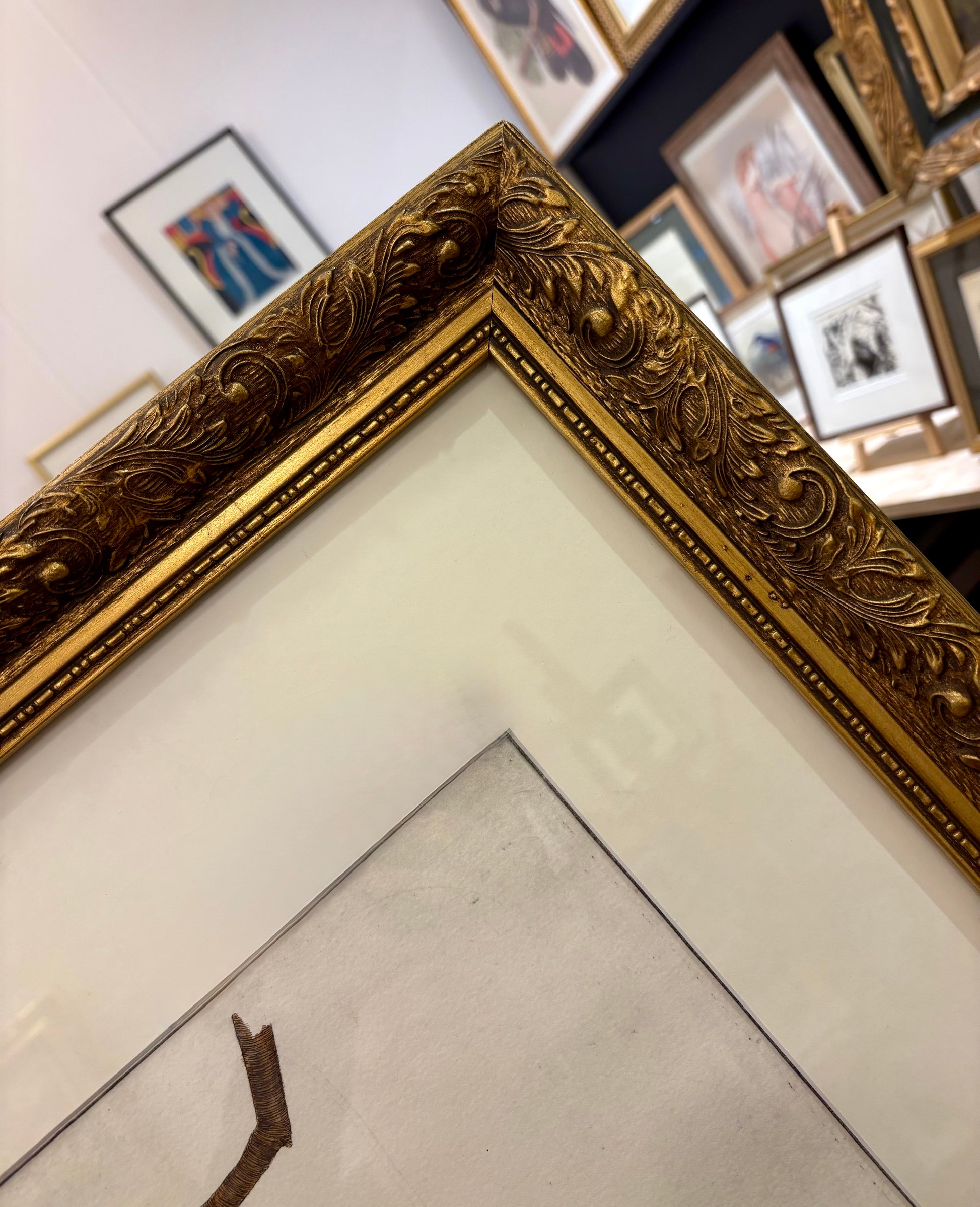 Original hand-coloured etching, Angus Fisher, Fantails, gilt framed art