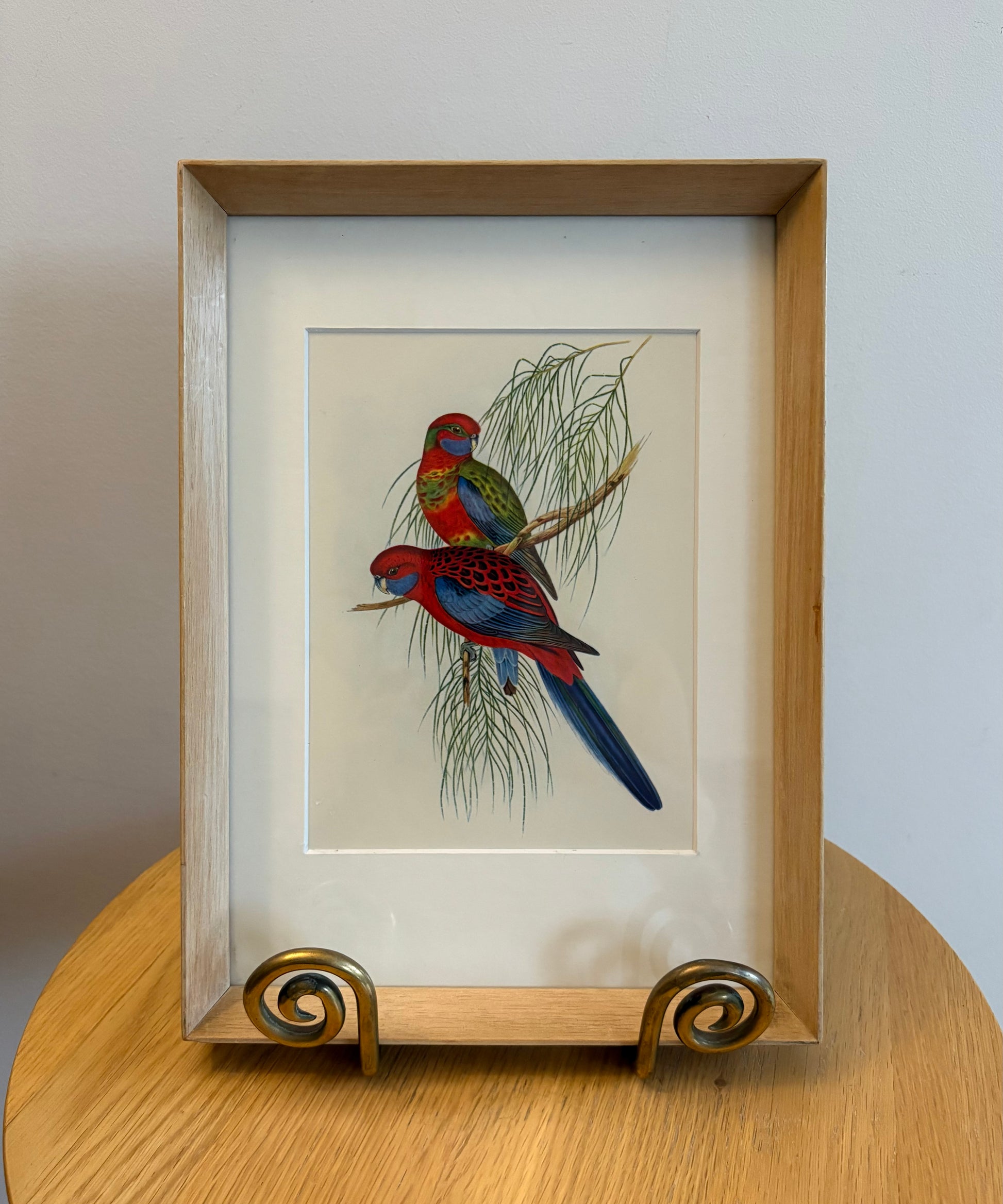 Miniature Gould "Birds of Australia" 1948 print of Rosellas, vintage framed art