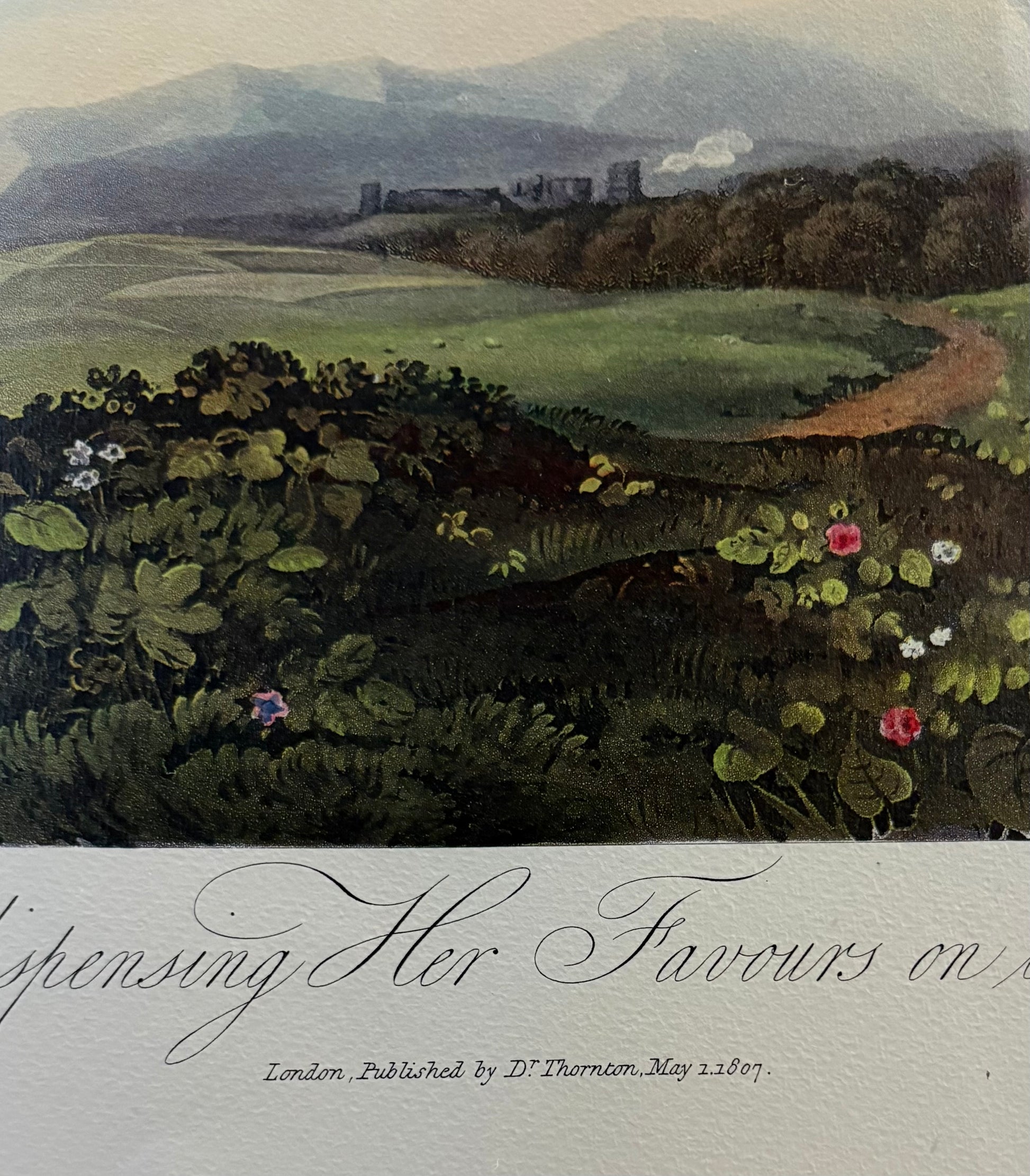 Large high quality Temple of Flora print, Robert Thornton, goddess, gilt framed art