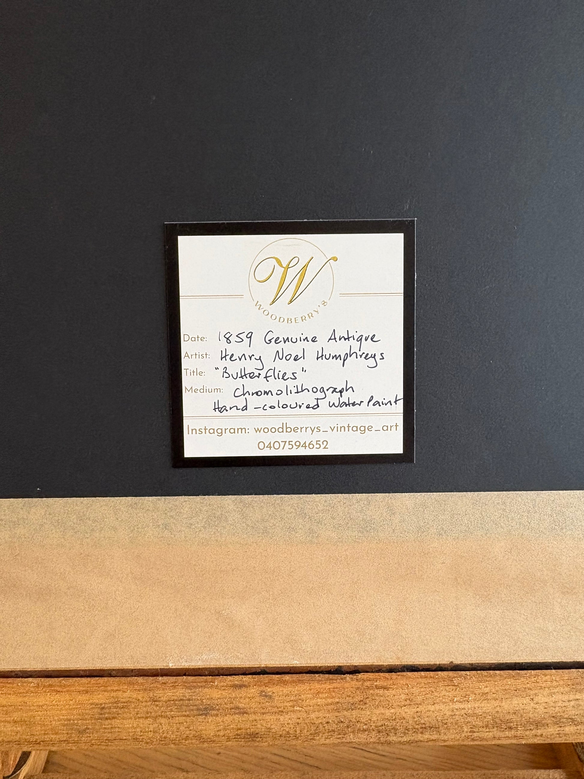 1840s Genuine antique butterfly lithograph with hand colouring, flowers, vintage framed art