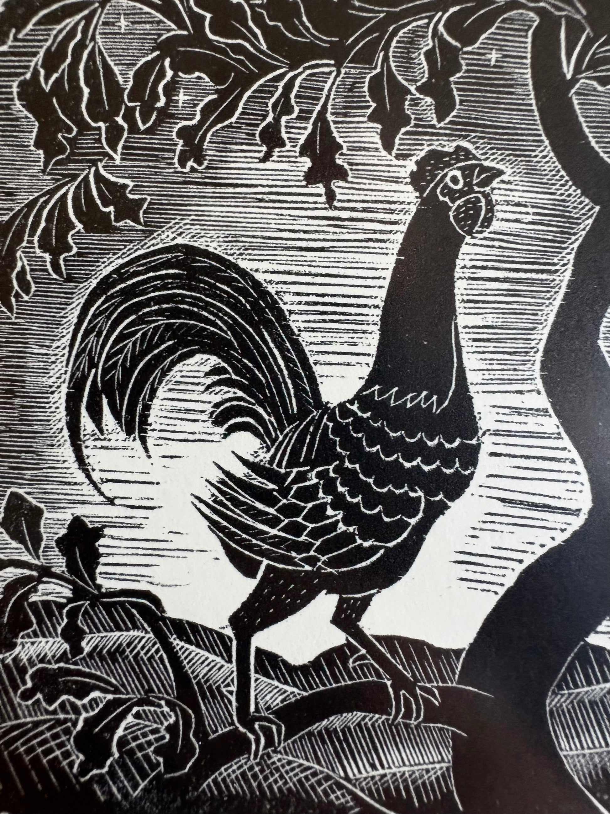 Original Helen Ogilvie woodblock print "Rooster", framed art, Australian artwork