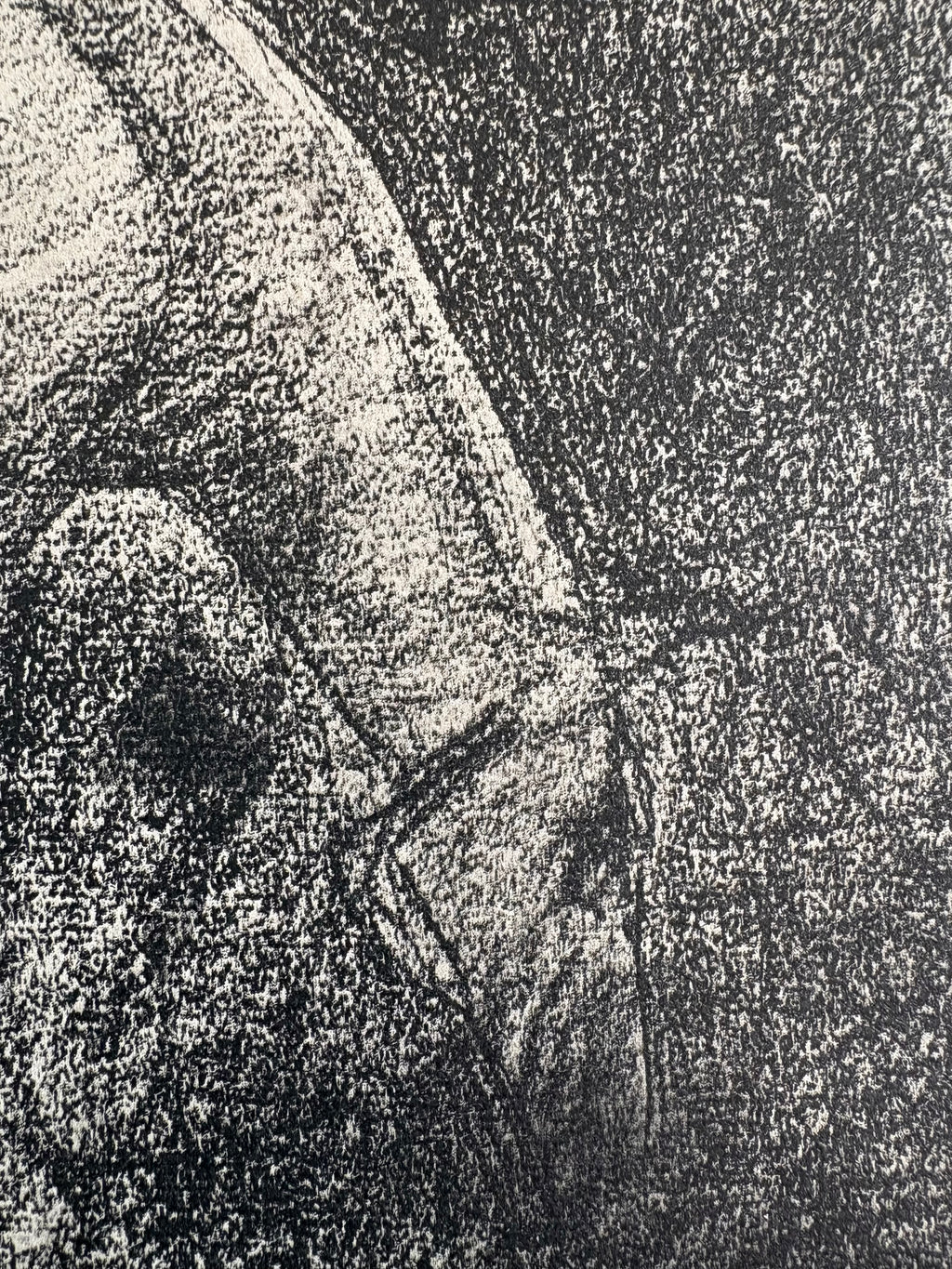 1928 Rare antique lithograph, French, Seurat, drawing, Chip frame, white horse