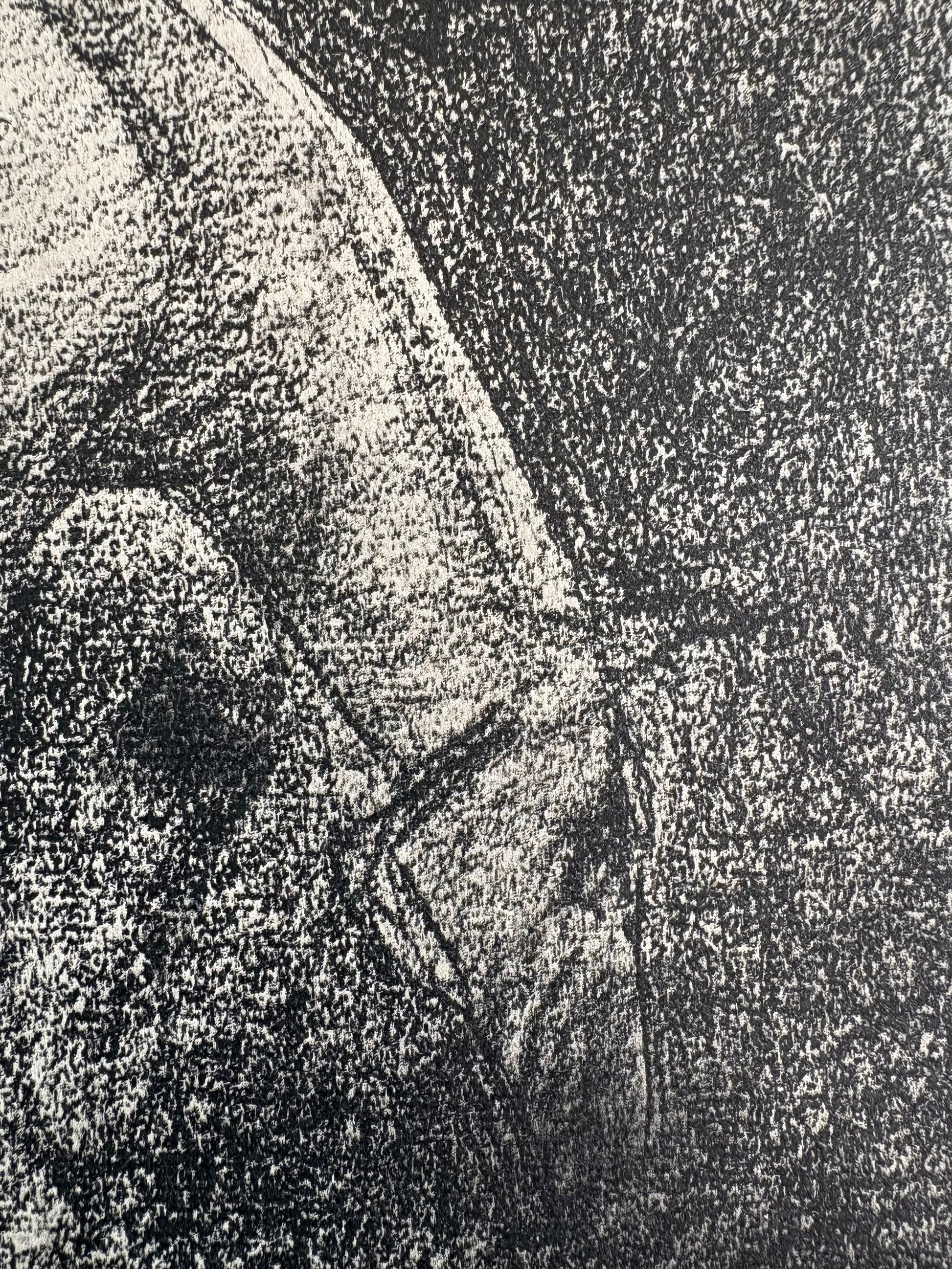 1928 Rare antique lithograph, French, Seurat, drawing, Chip frame, white horse