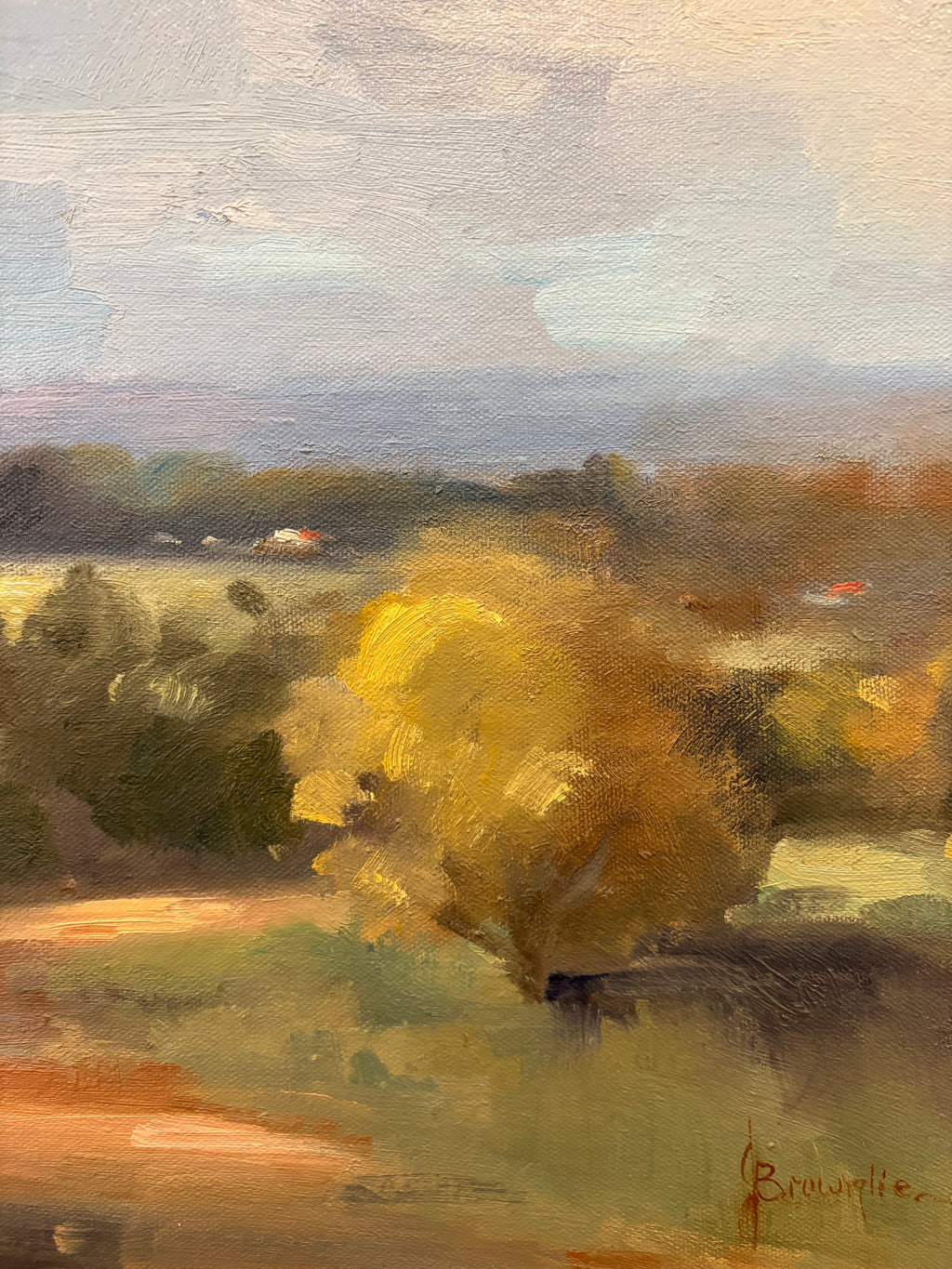 Original Judy Brownlie oil painting, landscape, NSW, framed vintage art