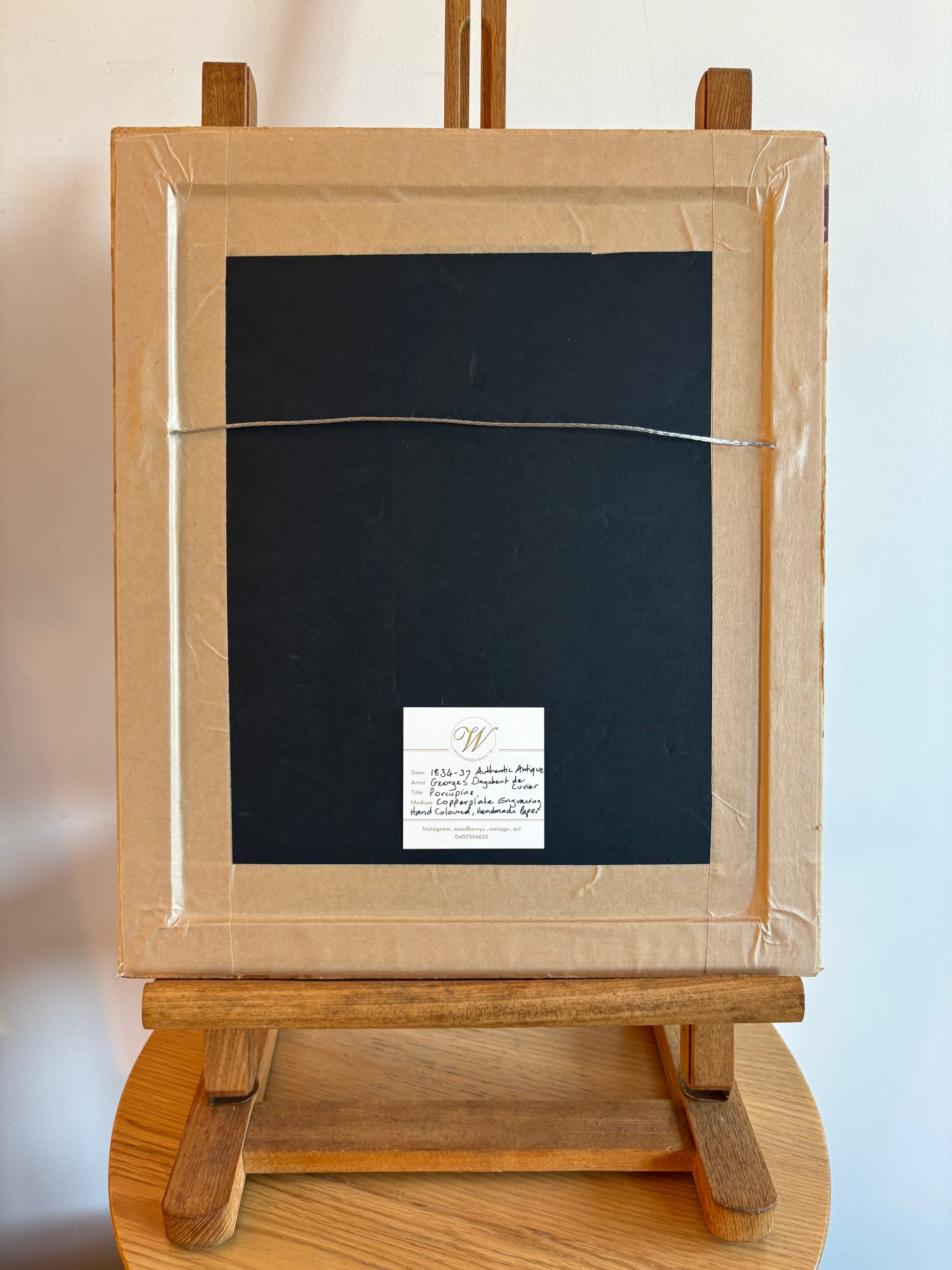 1830s Copperplate engraving, hand coloured,French, Porcupine, framed art, antique