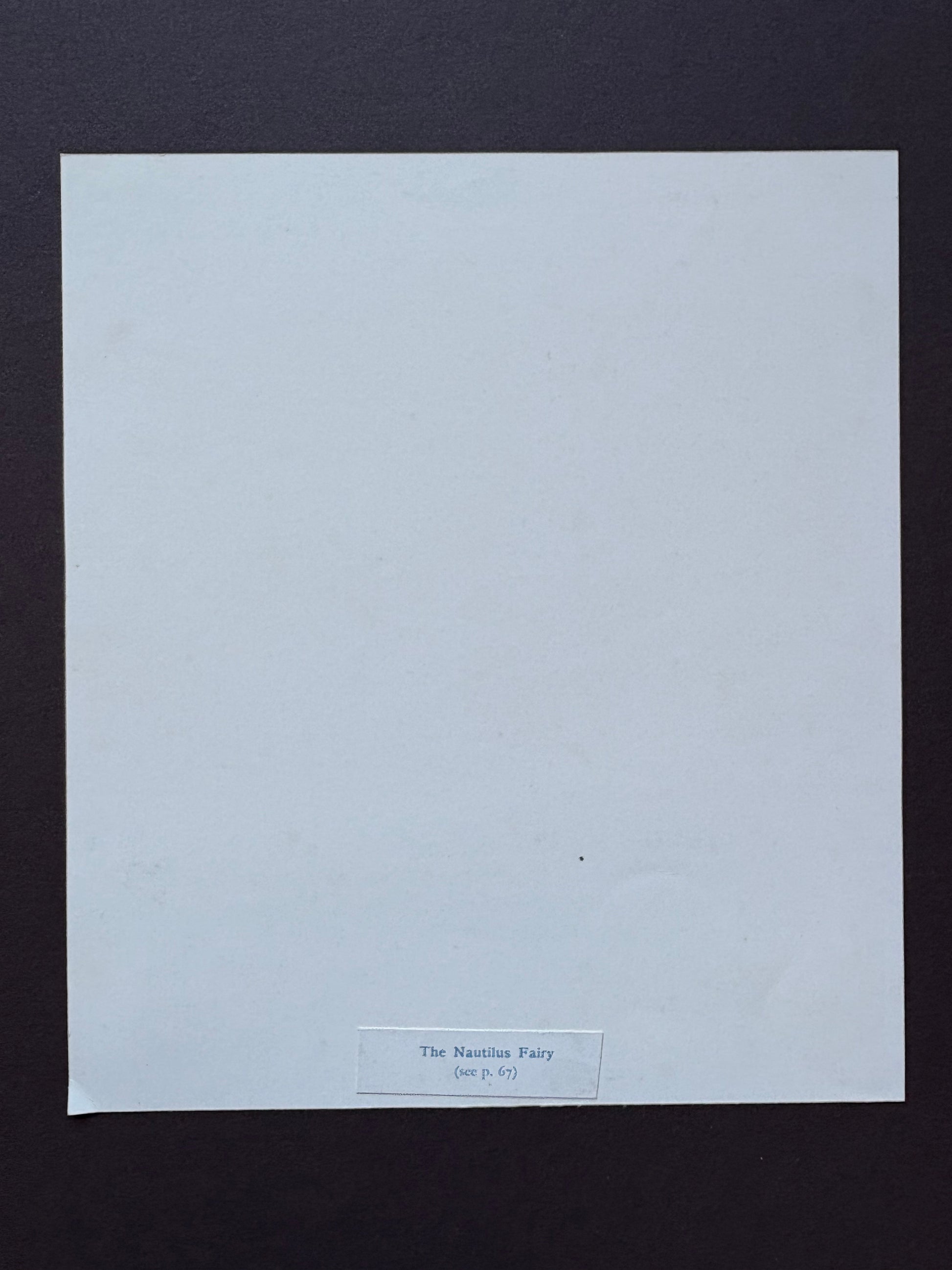 1931 Authentic antique Ida Rentoul Outhwaite print "Fairyland", 1st Edition UK, shell, fairy