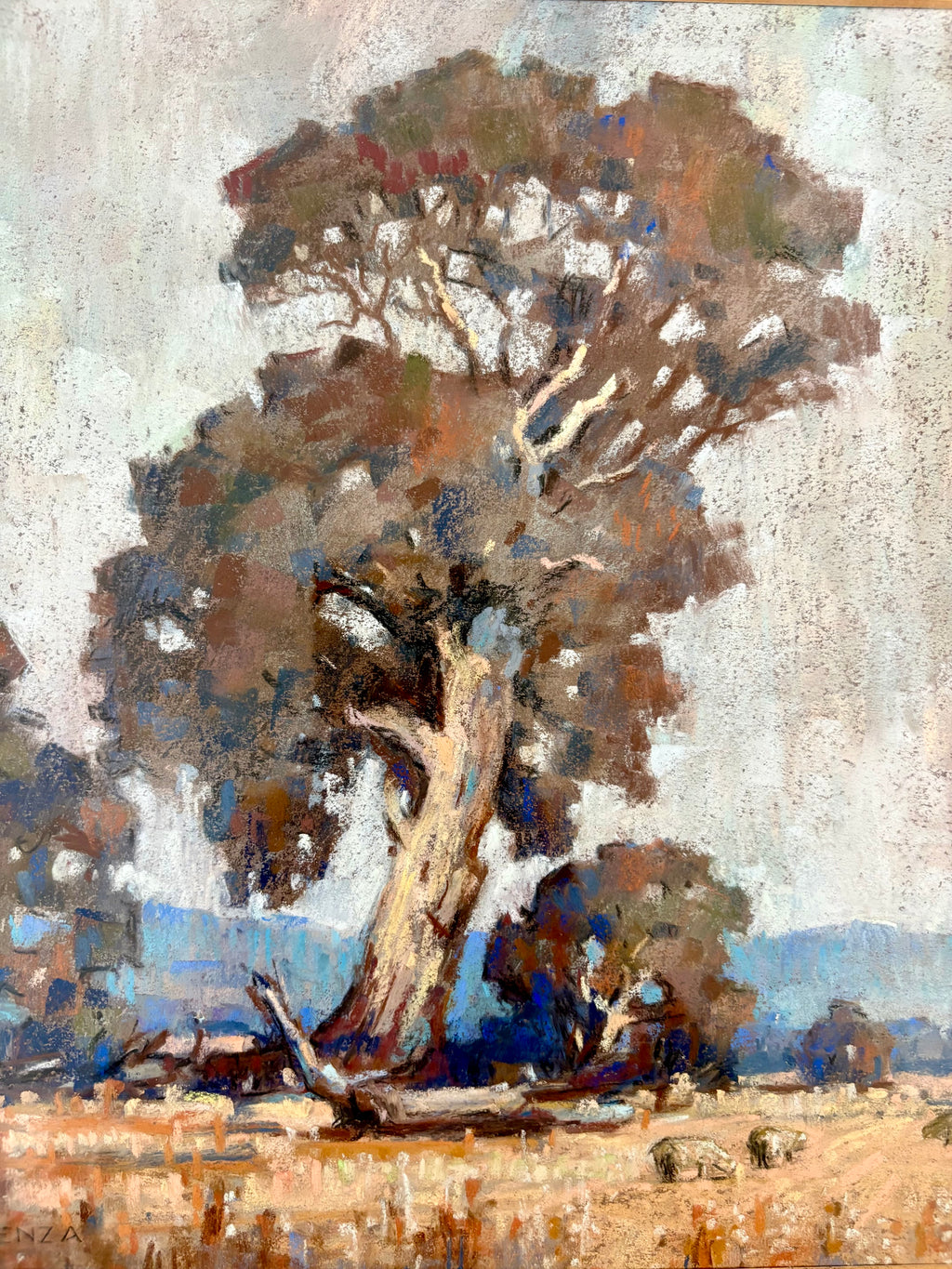 Original Alan Tregenza pastel drawing, Grampians, framed vintage art