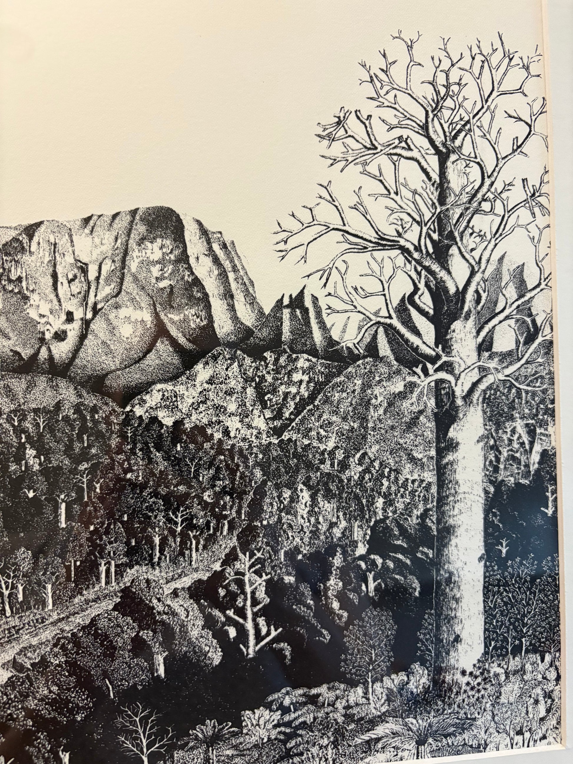 1977 Rei Hamon lithographic print, mountain, New Zealand, framed vintage art