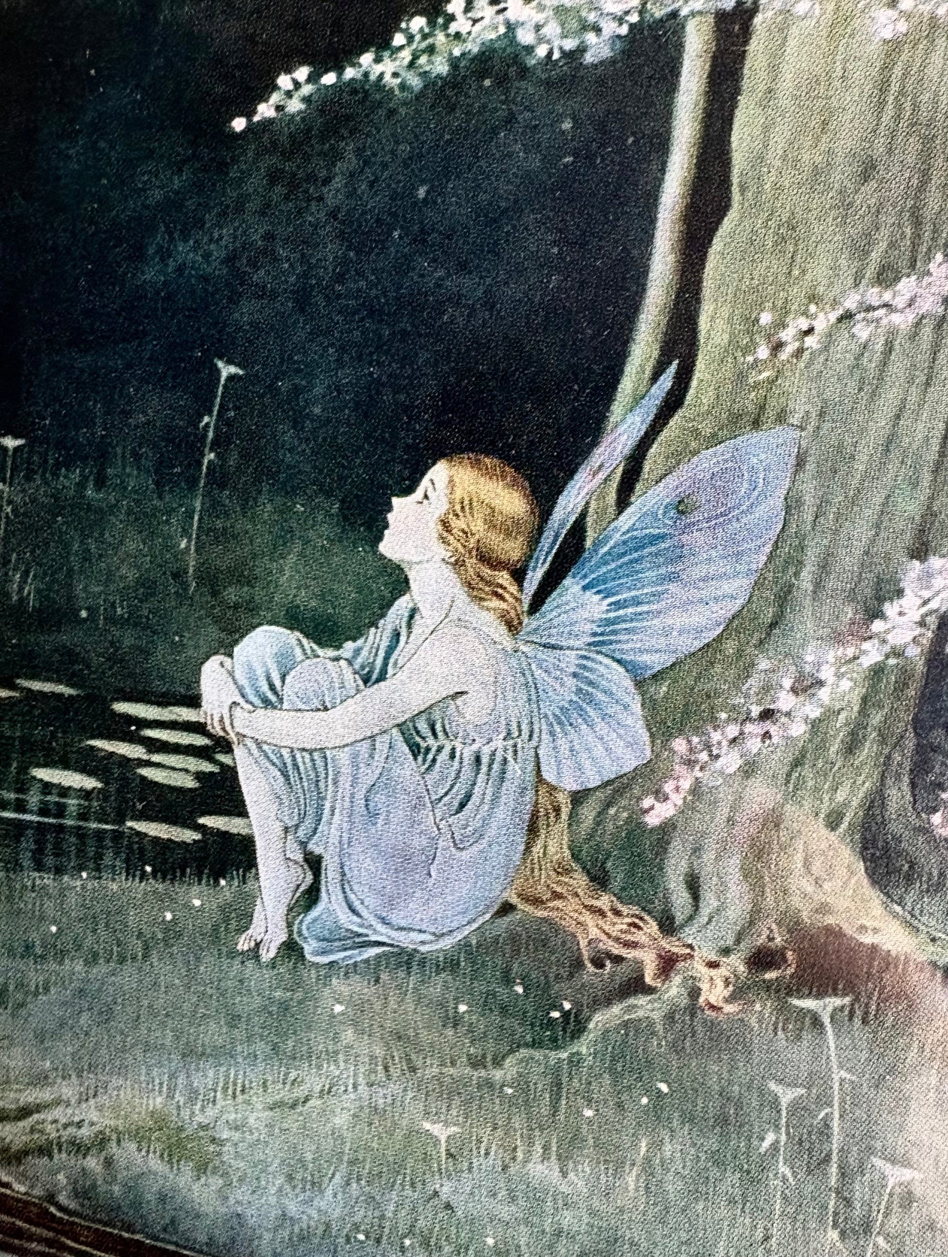 1931 Authentic antique Ida Rentoul Outhwaite print "Fairyland", 1st Edition UK, framed vintage art