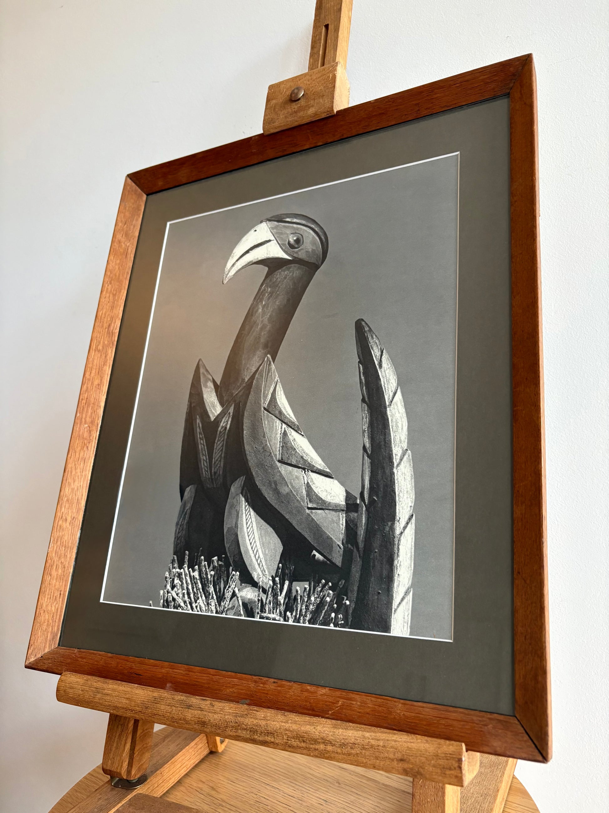 1962 vintage print, black and white photograph, mid century, bird, framed art