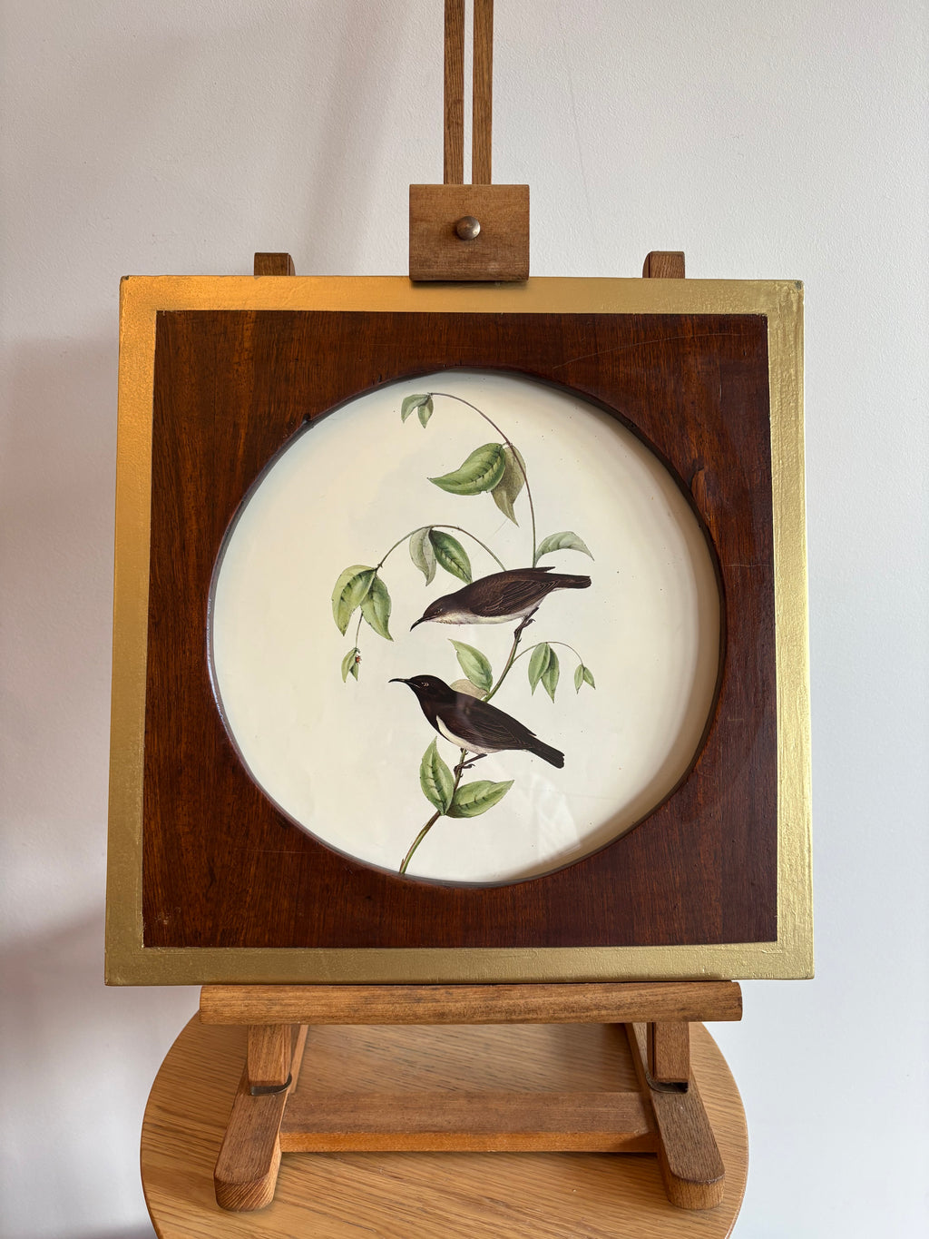 Gould "Birds of Australia" 1972 print of honeyeaters and bee, antique round wood frame