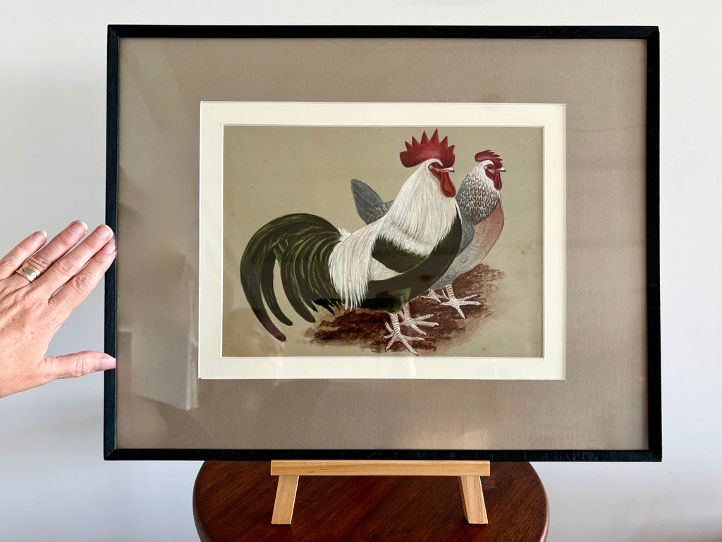 1930s original painting, Silver Dorking Fowl, rooster, chicken, framed vintage art
