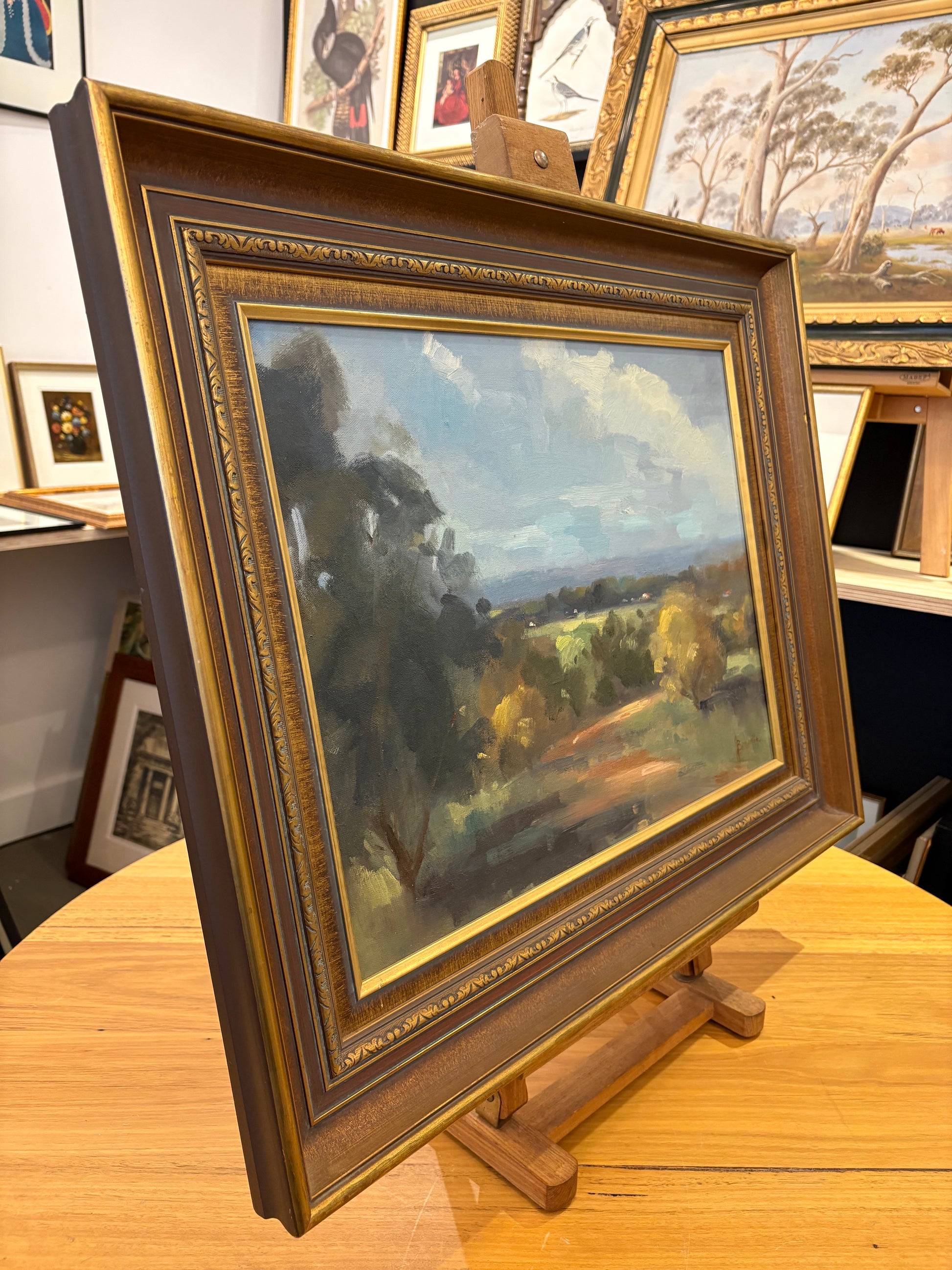Original Judy Brownlie oil painting, landscape, NSW, framed vintage art