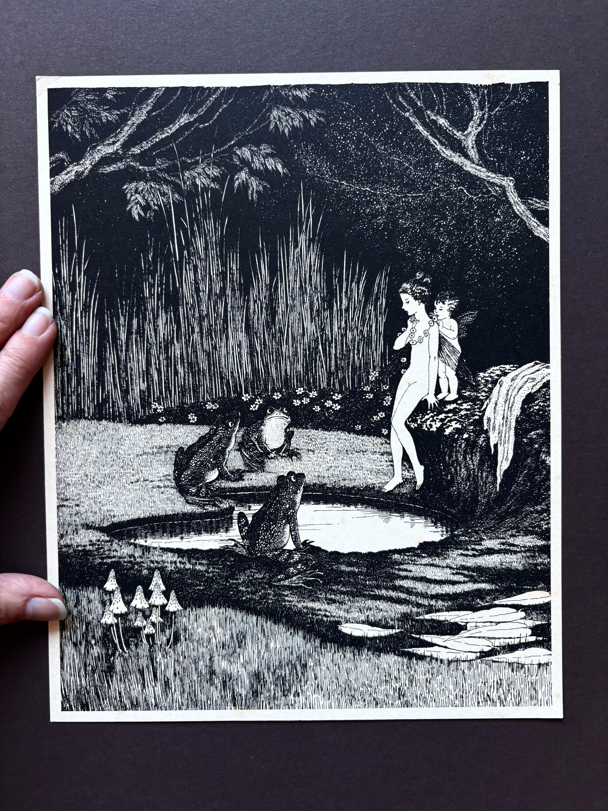 1931 Authentic antique Ida Rentoul Outhwaite print "Fairyland", 1st Edition UK, fairy, frogs, art deco