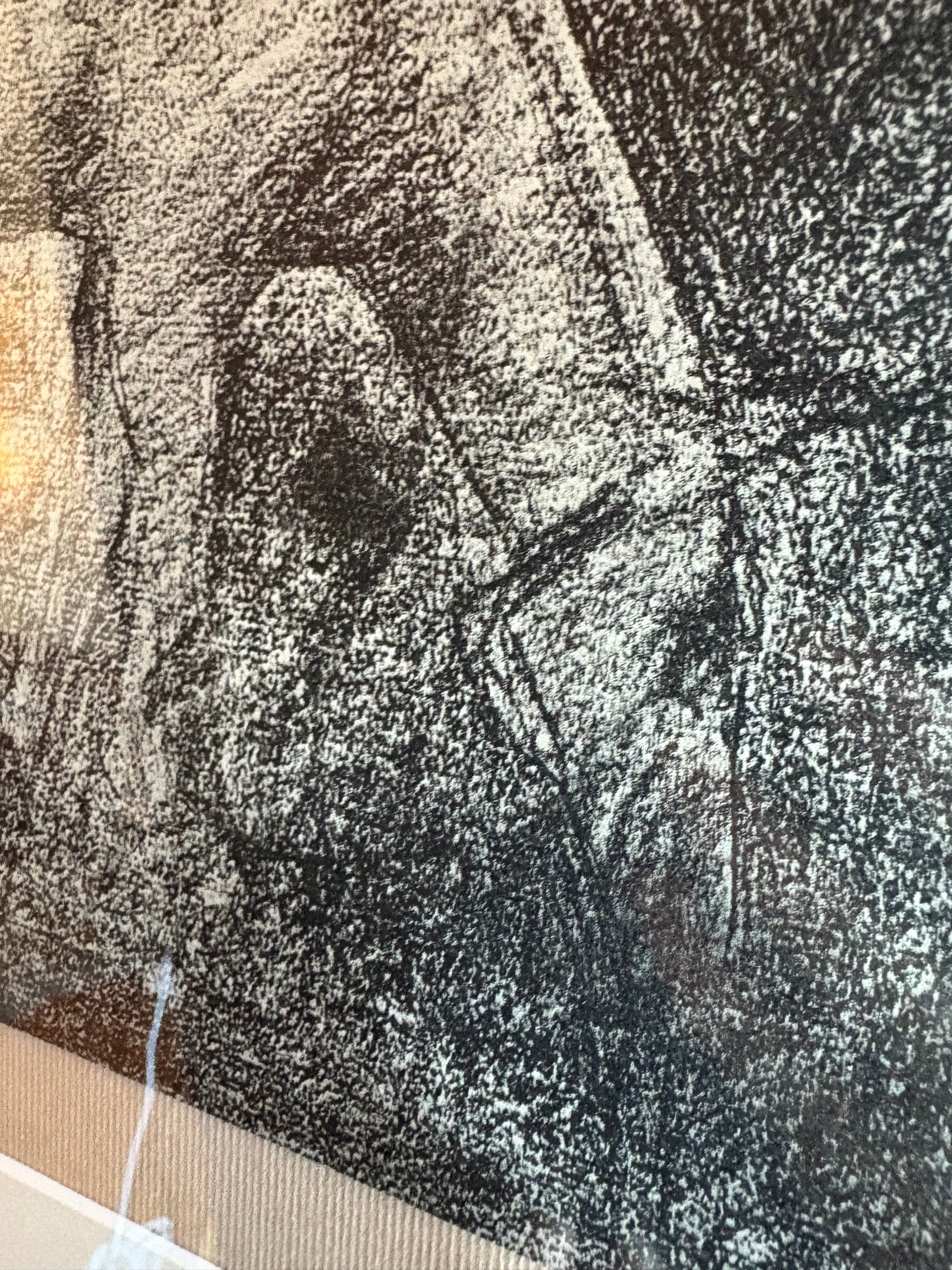 1928 Rare antique print, French, Seurat, drawing folio, framed art, portrait, horse