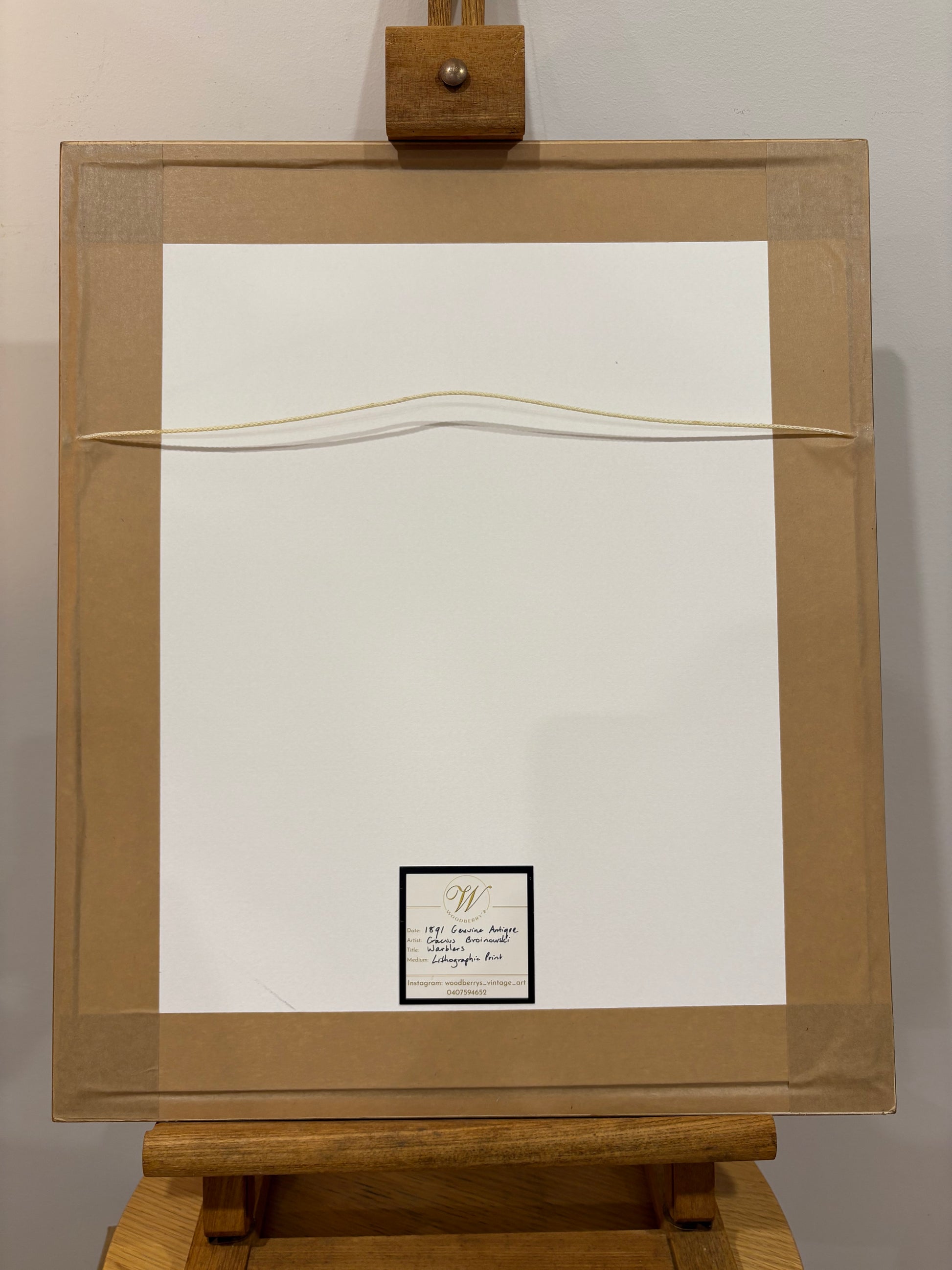 1891 Antique lithographic print, Gracius Broinowski, Warblers, Australian birds, framed art