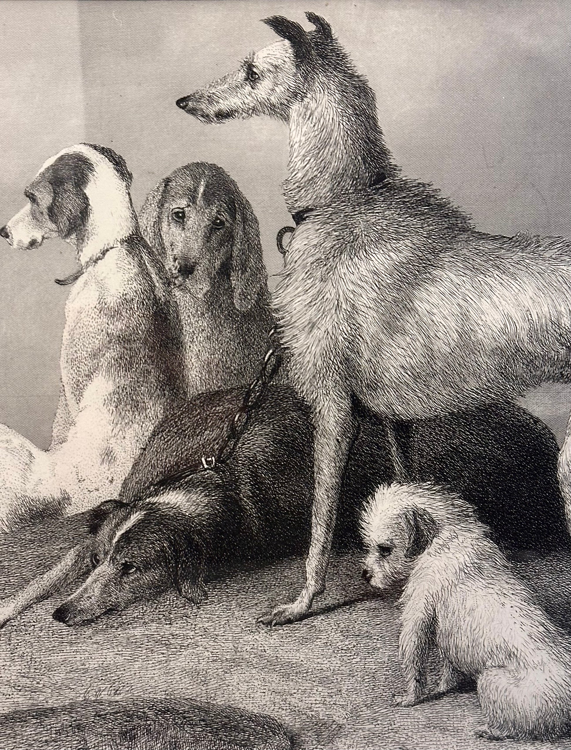 1870s antique engraving, Edwin Landseer, hunting dogs, framed art