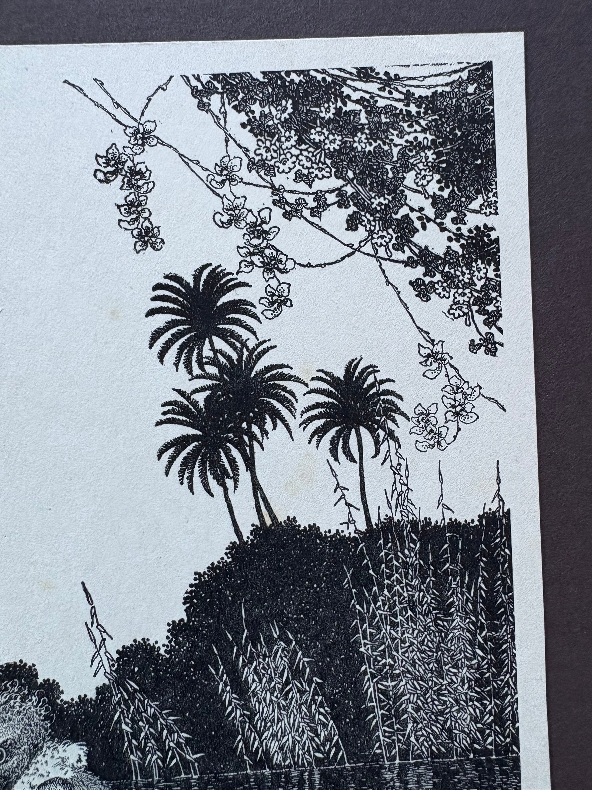 1931 Authentic antique Ida Rentoul Outhwaite print "Fairyland", 1st Edition UK,fairy, bird, art deco