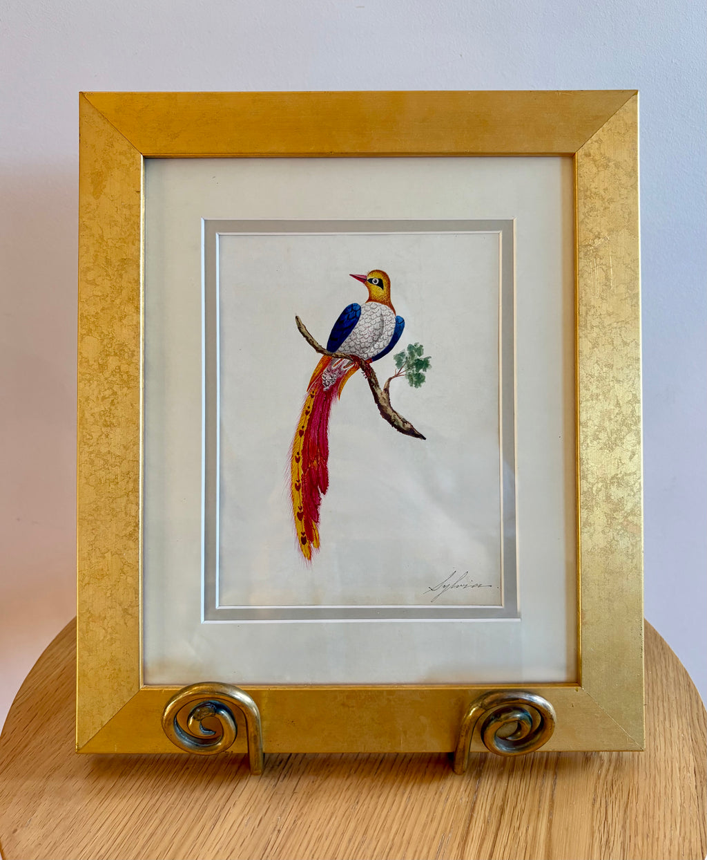 1830's Georgian original watercolour painting, Bird of Paradise, framed antique art