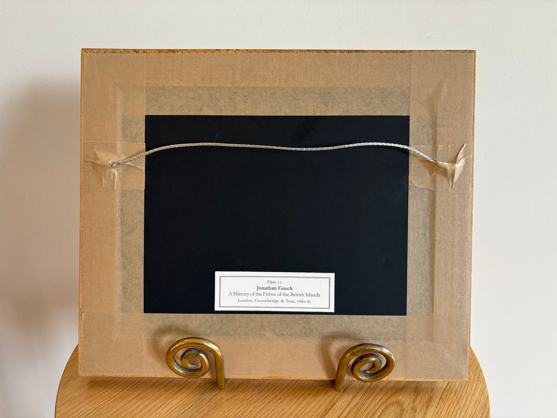 1860s Genuine antique fish engraving, hand coloured, framed original vintage wall art