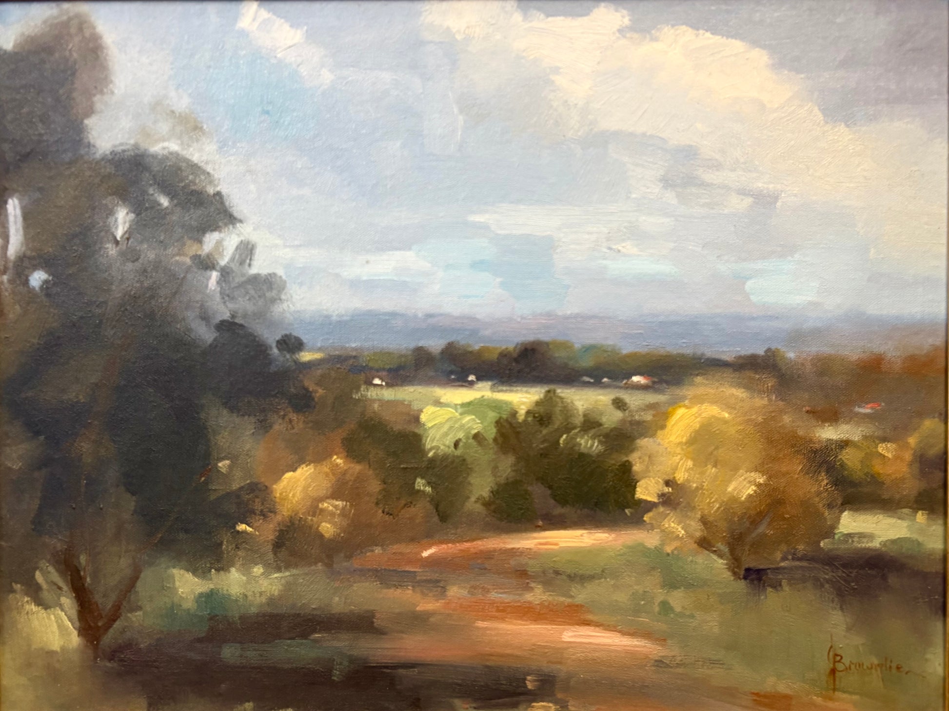 Original Judy Brownlie oil painting, landscape, NSW, framed vintage art
