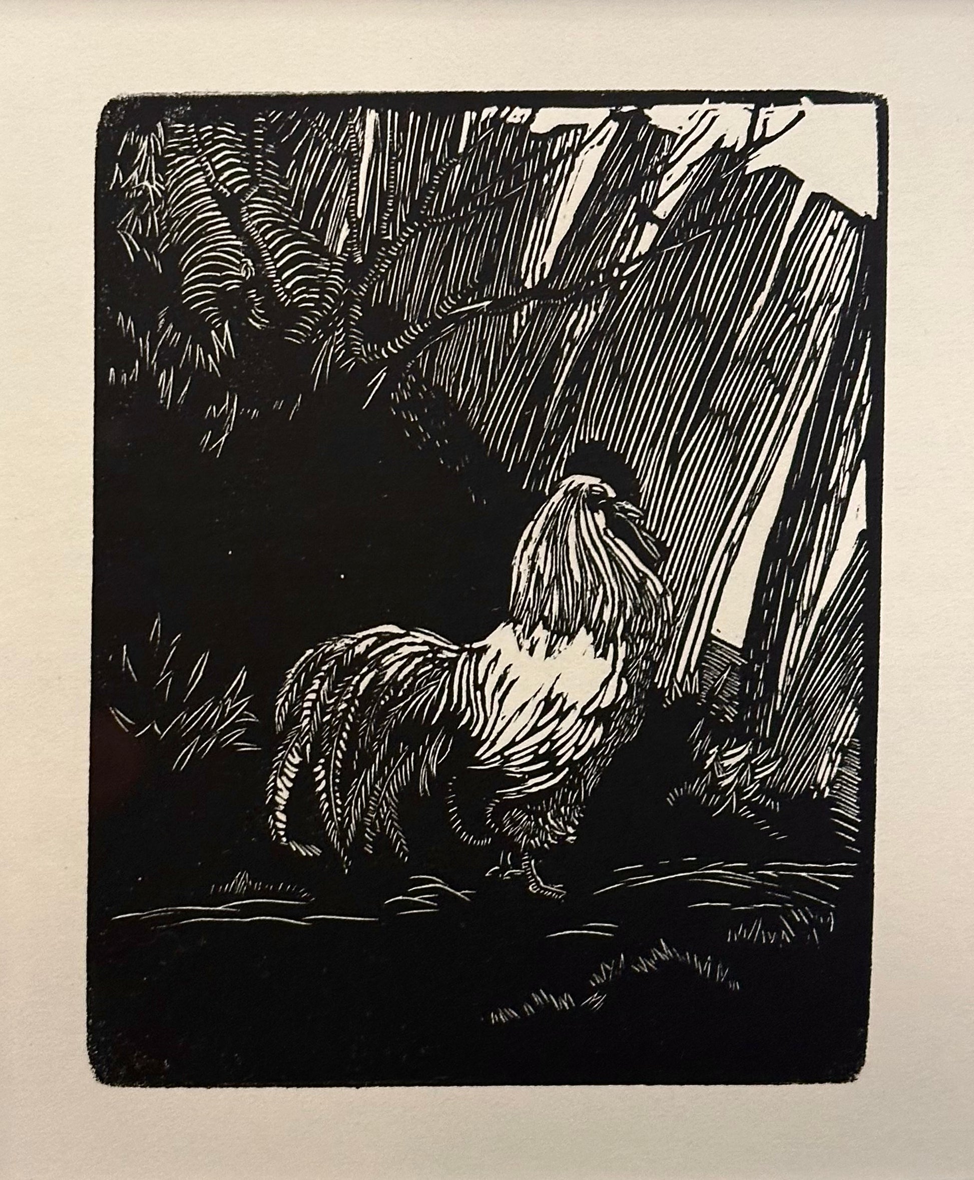 Original Helen Ogilvie woodblock print "The White Rooster", framed art, farmyard birds, Australian artwork