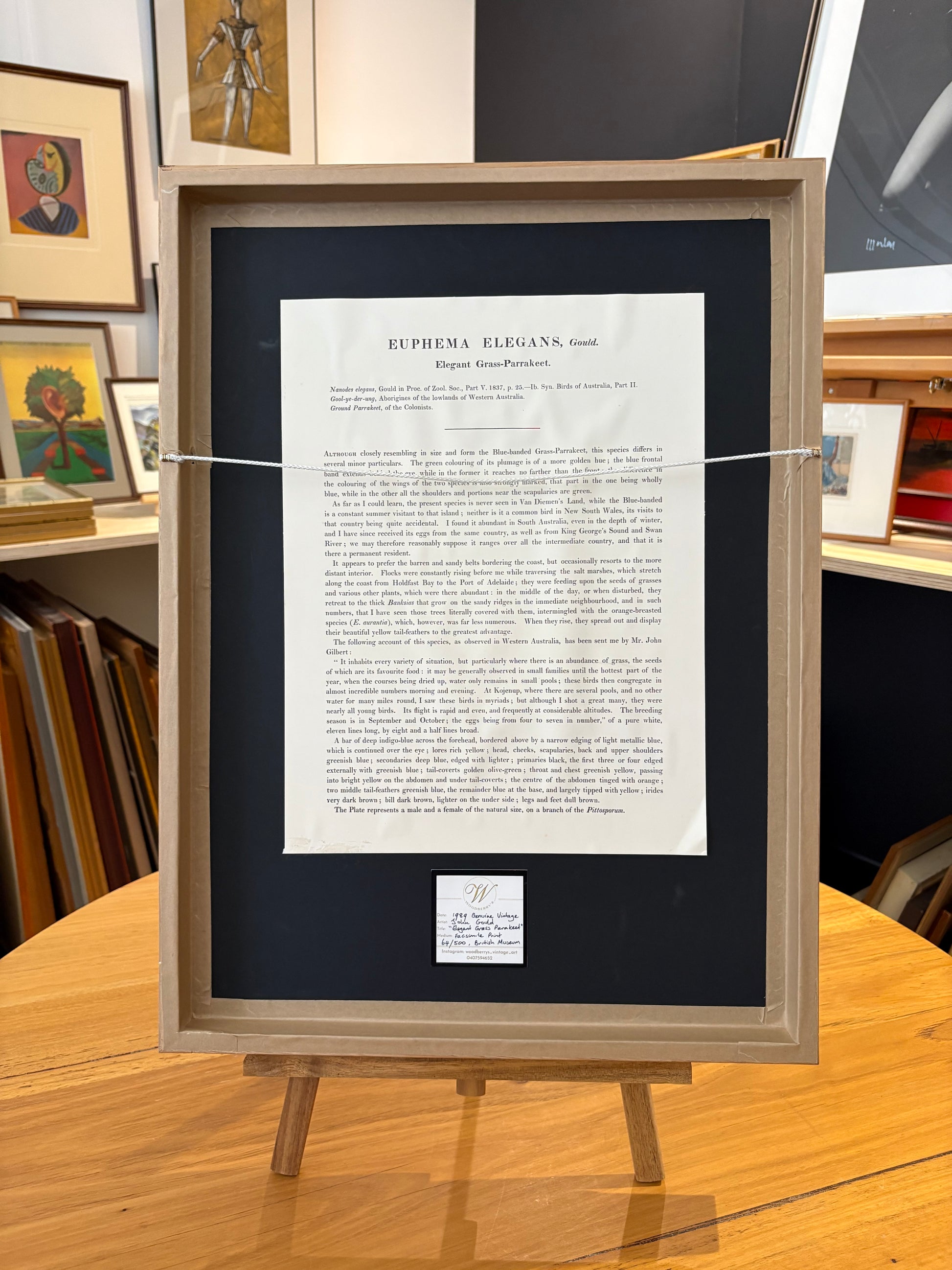 1989 Authentic limited edition 64/500 Gould print, Parakeet, vintage art