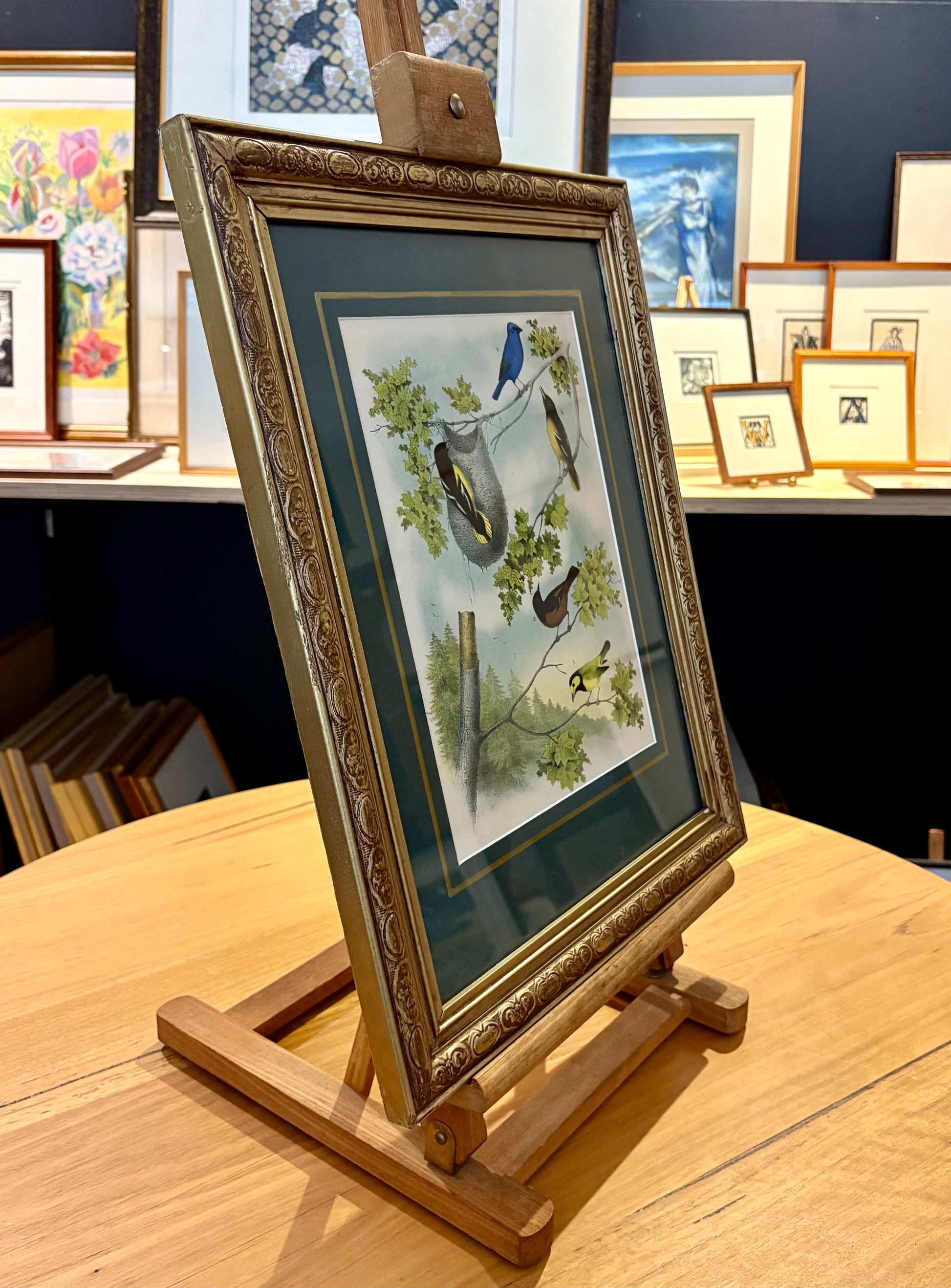 1870s Genuine antique, Birds, chromolithograph, gilt frame, original vintage art