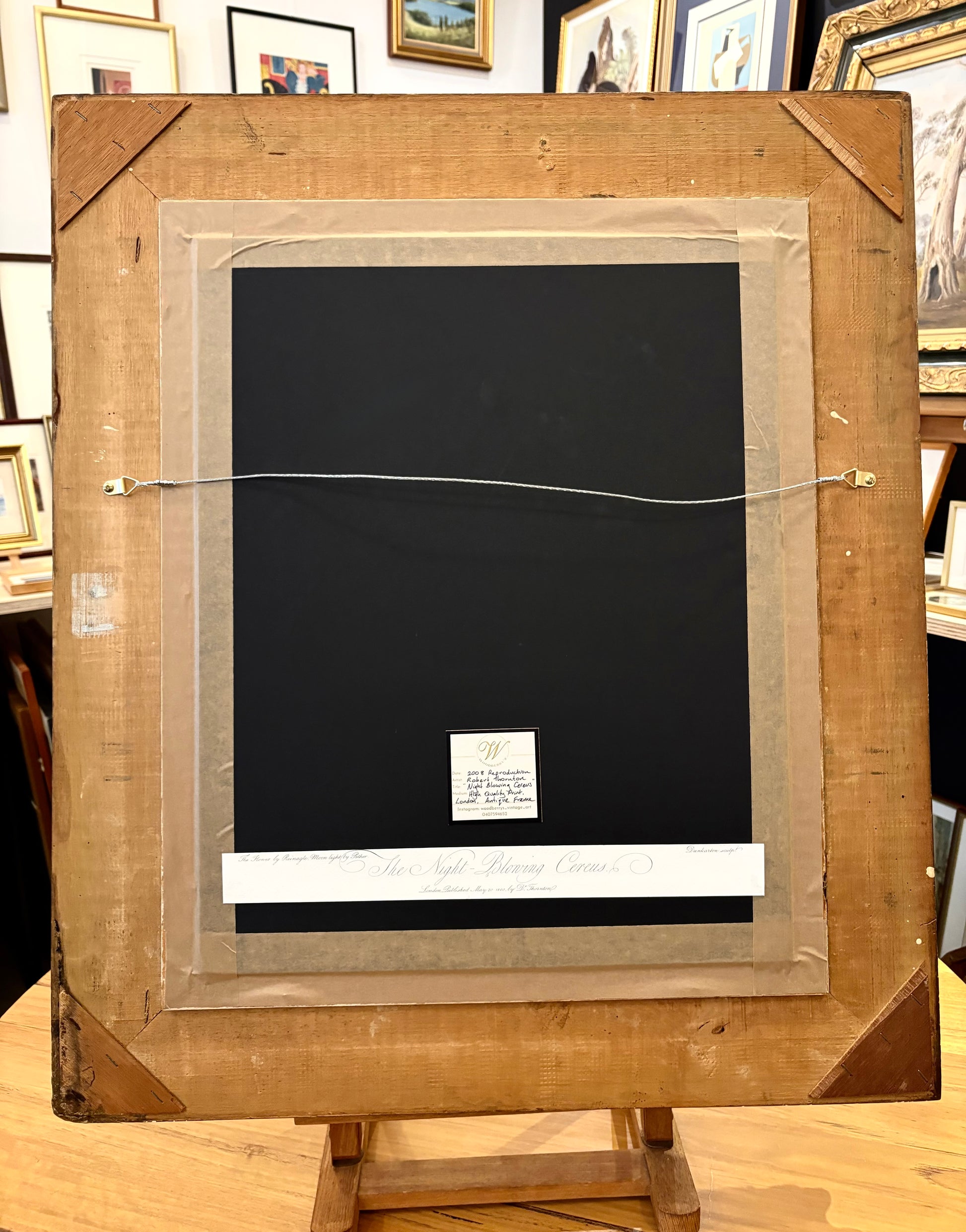 Gilt framed large high quality Temple of Flora print, Robert Thornton, framed art