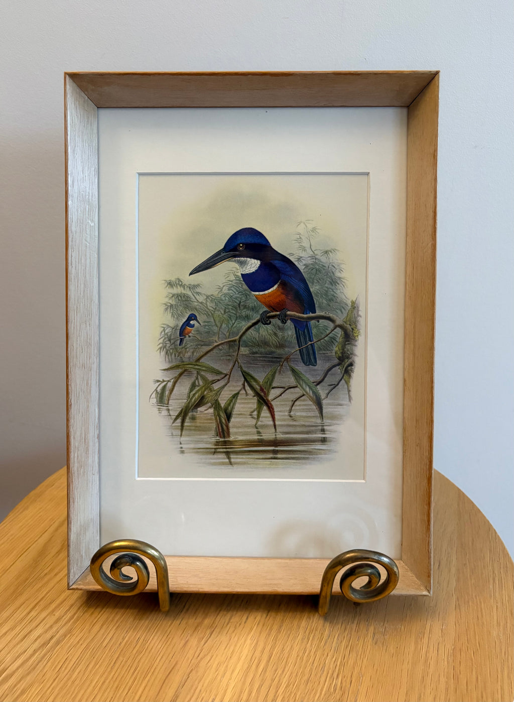 Miniature Gould "Birds of Australia" 1948 print of Kingfisher, vintage framed art