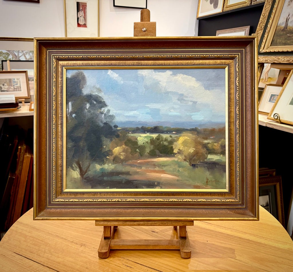 Original Judy Brownlie oil painting, landscape, NSW, framed vintage art