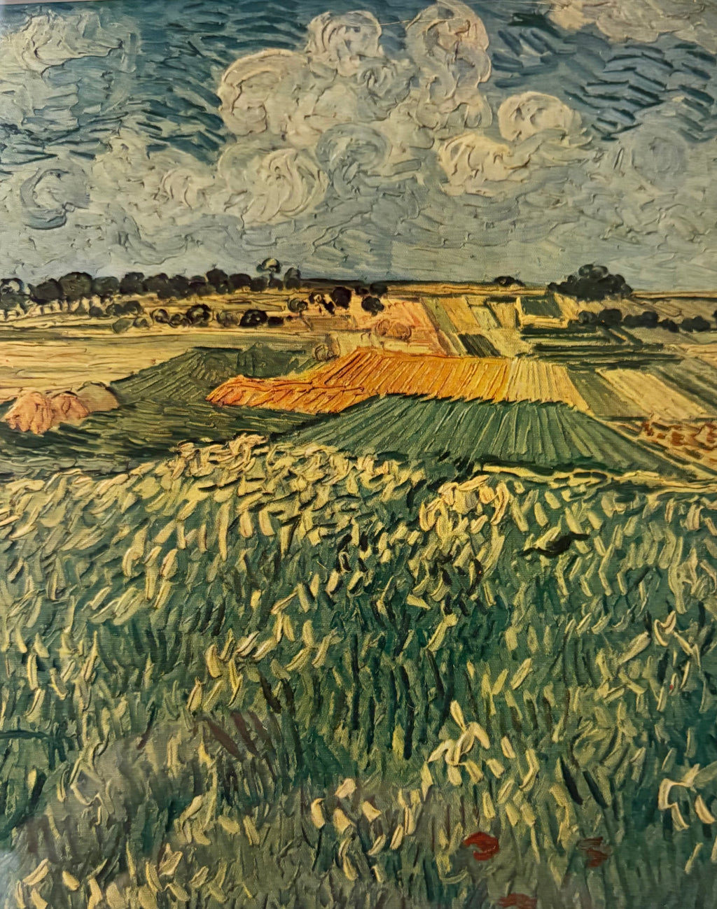 1950s Vintage print, Van Gogh, landscape, framed art