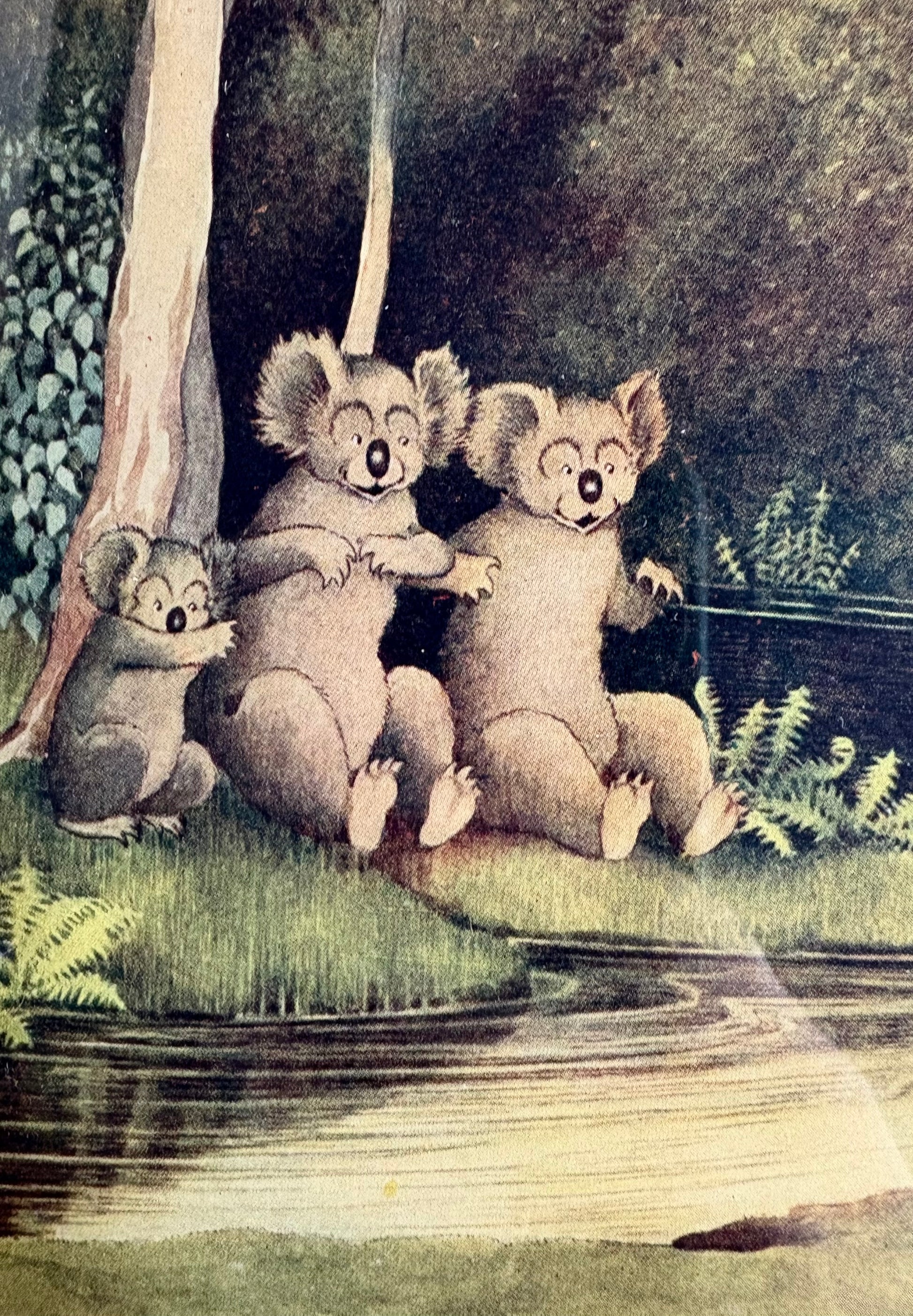 1931 Authentic antique Ida Rentoul Outhwaite print, koalas, 1st Edition UK, framed vintage art