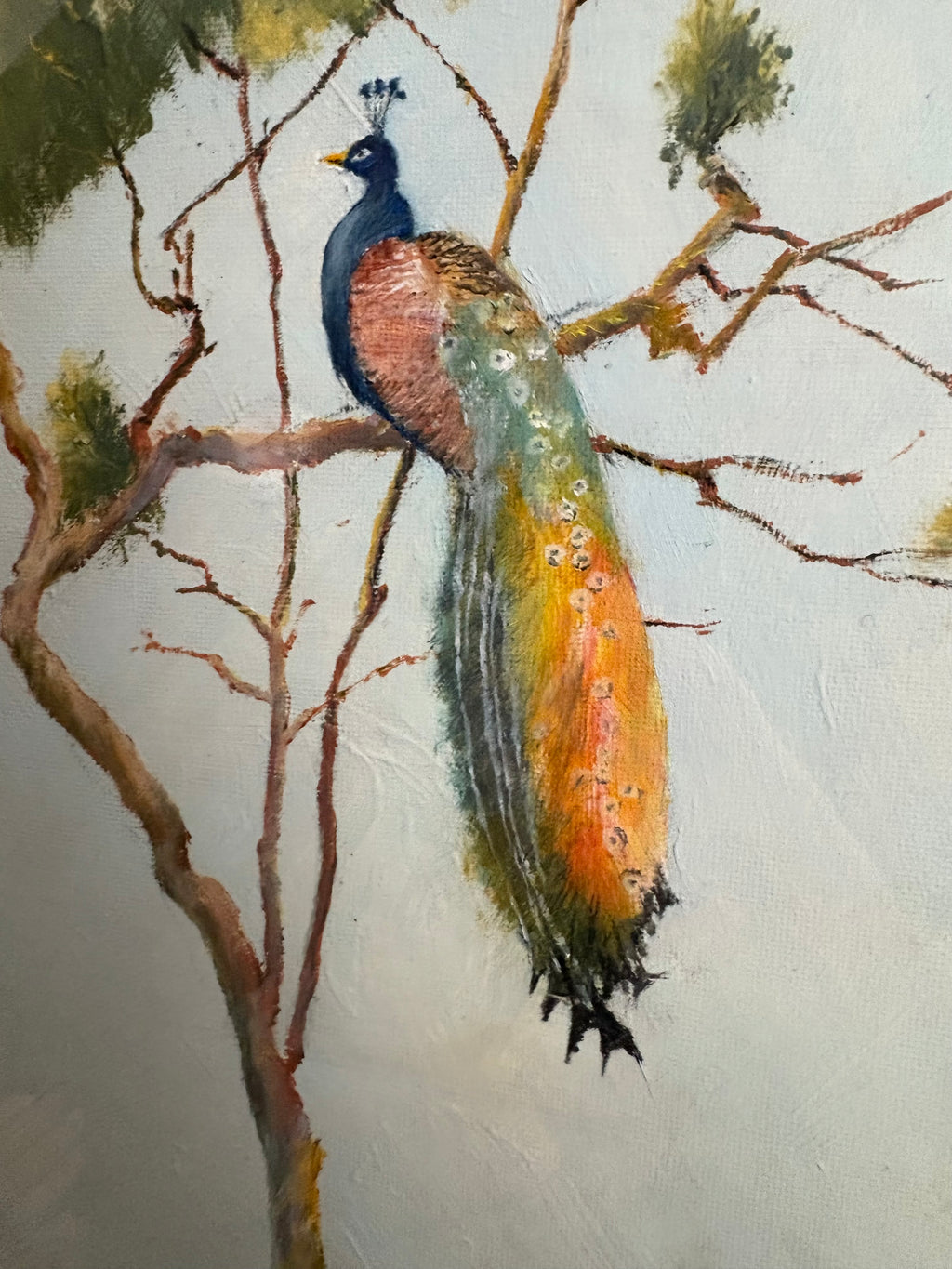 Original oil painting on board, signed, “Peacock”, vintage 1965, framed art.