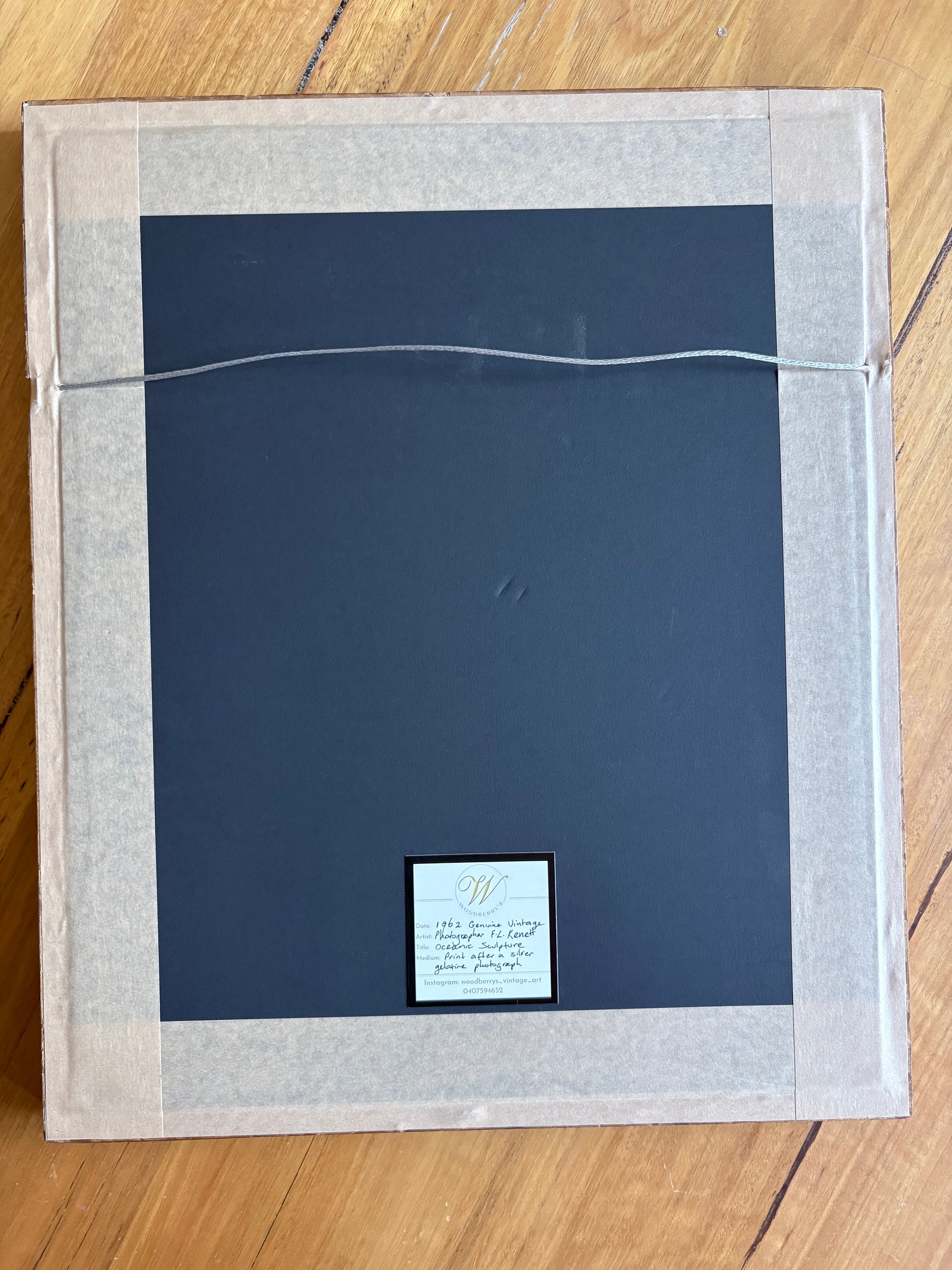 1962 vintage print, black and white photograph, mid century, bird, framed art