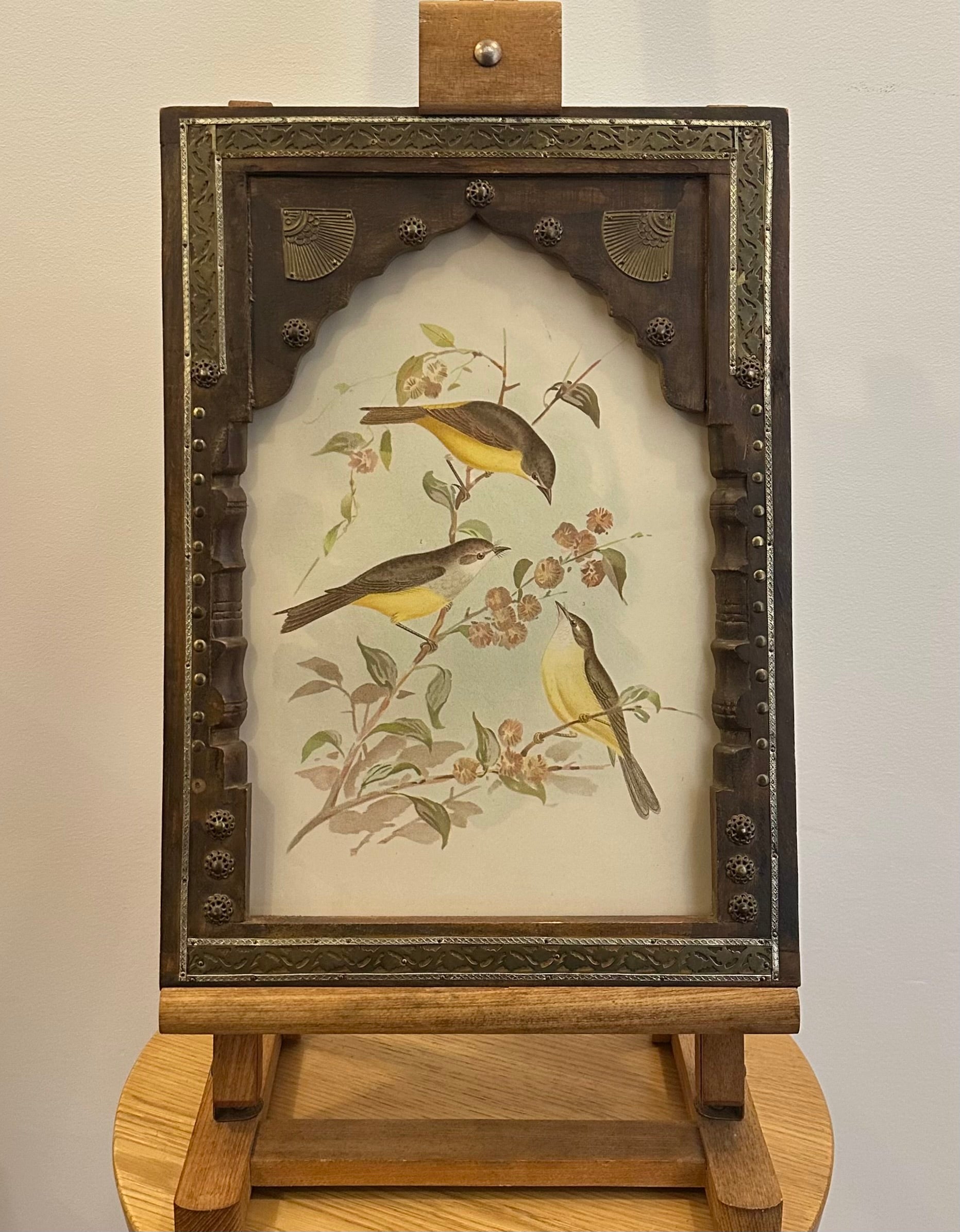 1891 Antique lithographic print, Gracius Broinowski,, Australian birds, framed art