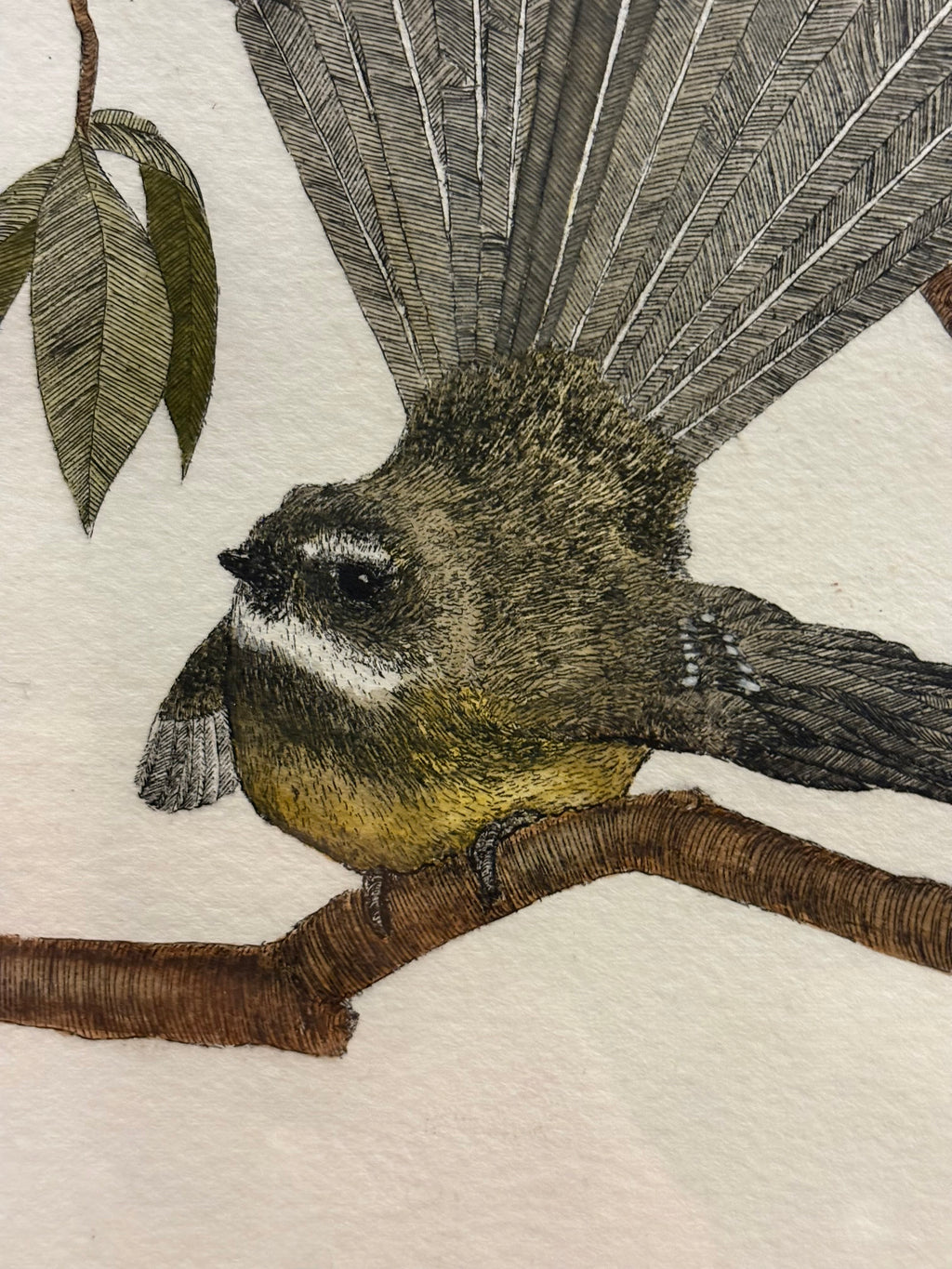 Original hand-coloured etching, Angus Fisher, Fantails, gilt framed art